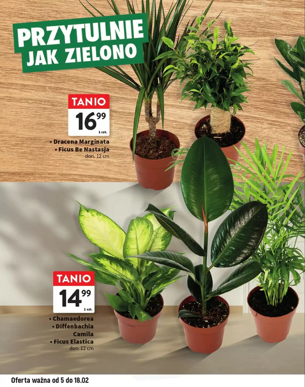 Gazetka promocyjna Intermarche  ważna od 05.02.2026 - Strona 6.