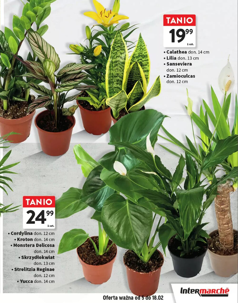 Gazetka promocyjna Intermarche  ważna od 05.02.2026 - Strona 7.