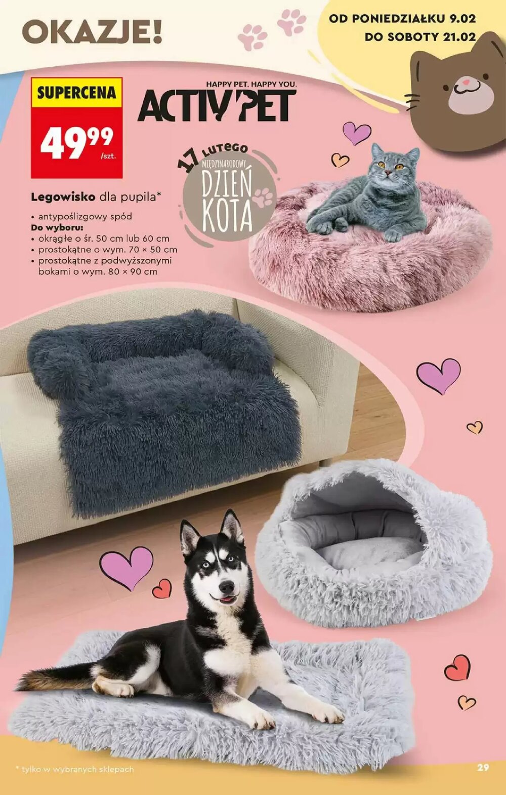 Gazetka promocyjna Biedronka  ważna od 07.02.2026 - Strona 29.