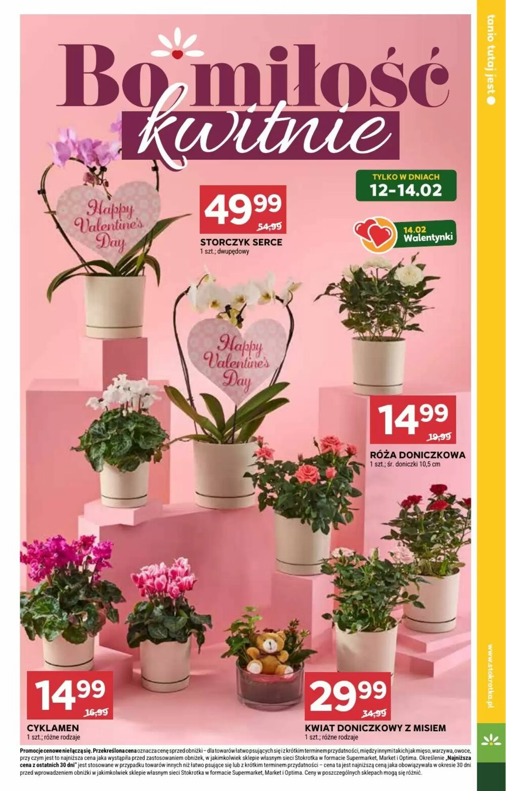 Gazetka promocyjna Stokrotka  ważna od 12.02.2026 - Strona 9.