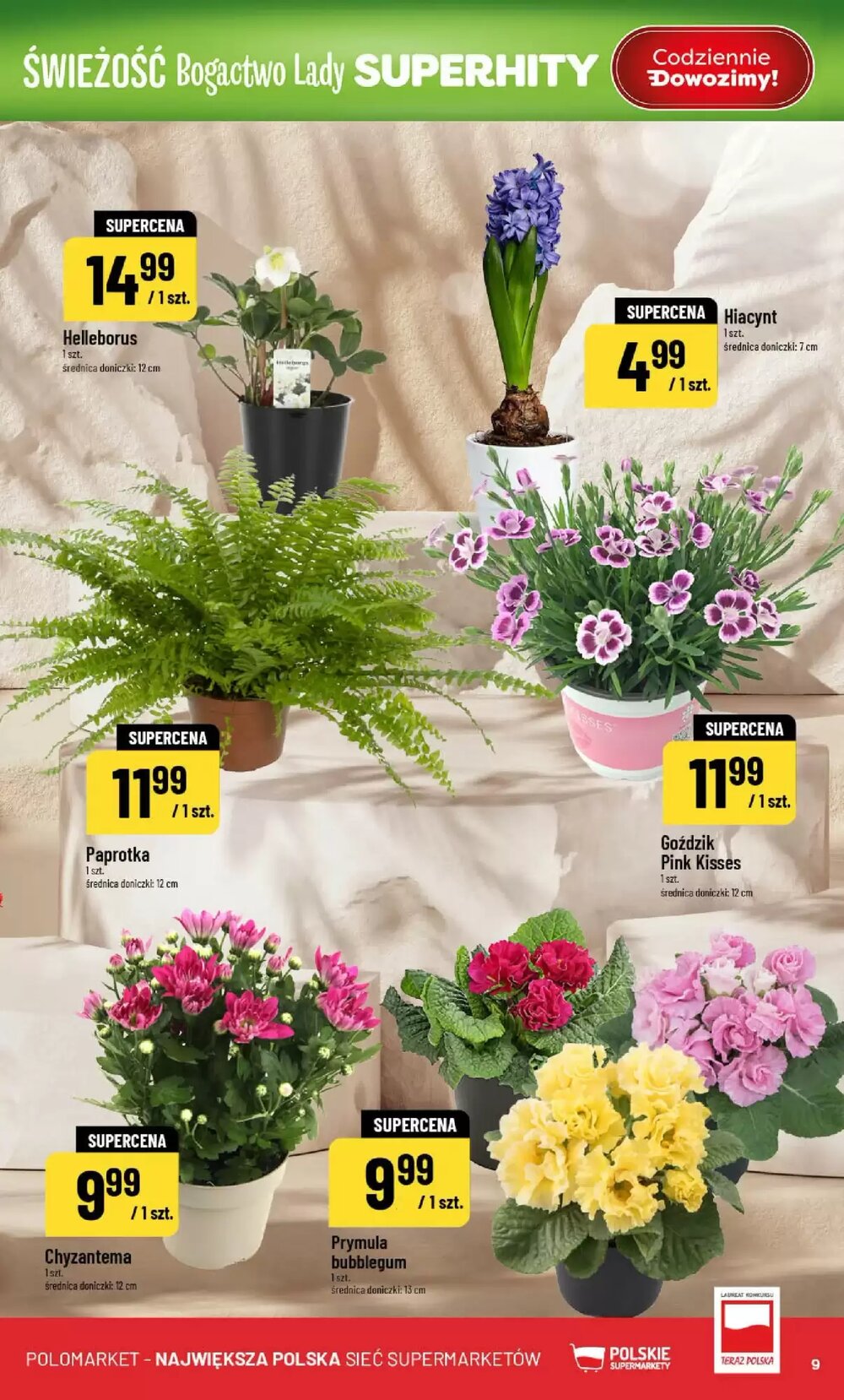 Gazetka promocyjna Polomarket  ważna od 18.02.2026 - Strona 9.