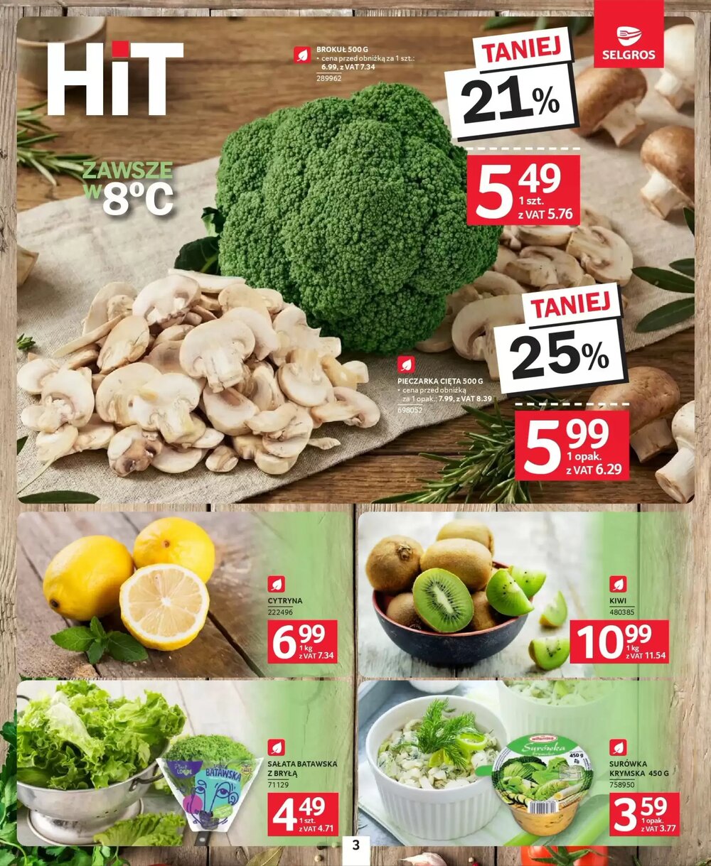 Gazetka promocyjna Selgros  ważna od 19.02.2026 - Strona 3.