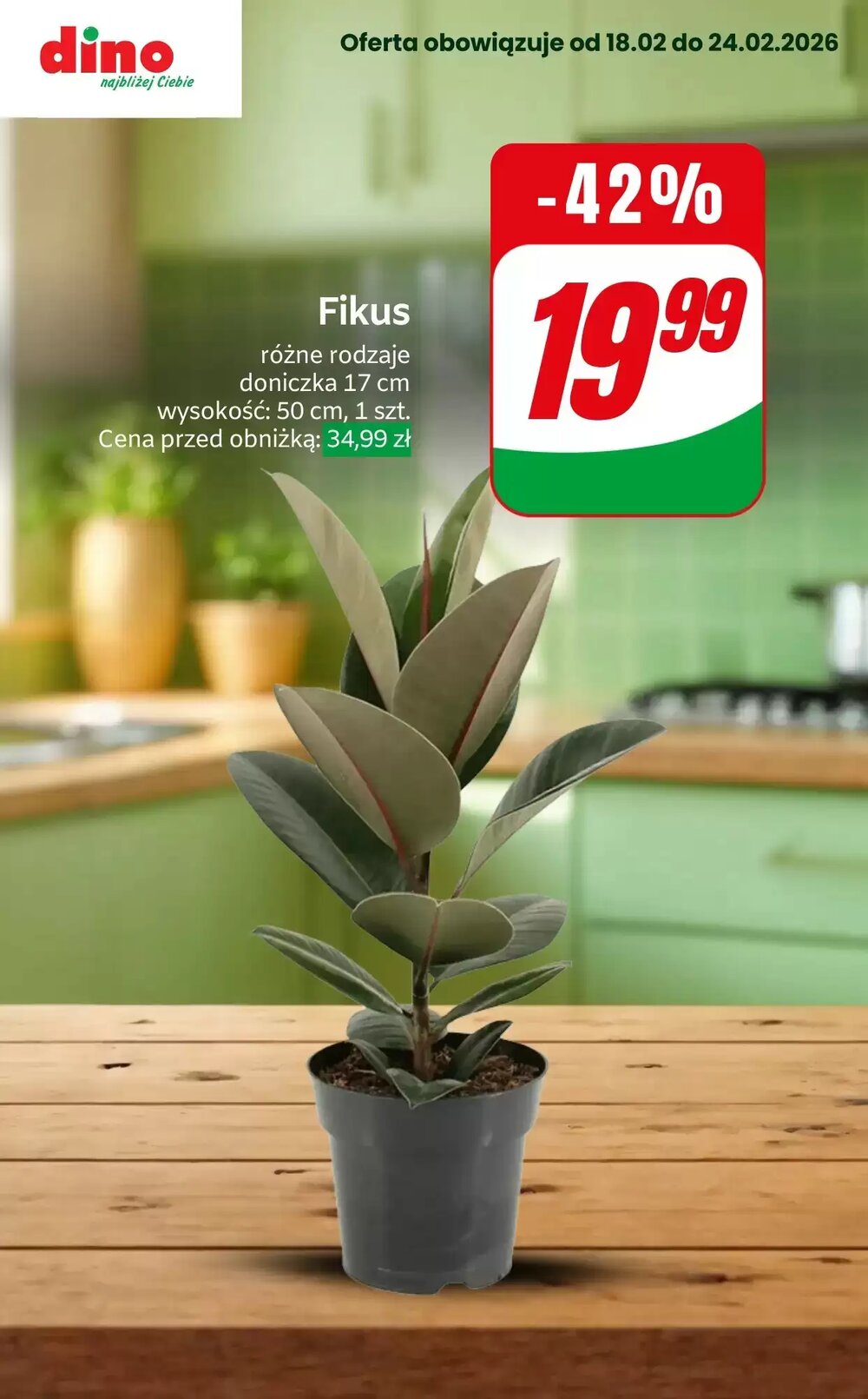 Gazetka promocyjna Dino  ważna od 19.02.2026 - Strona 7.