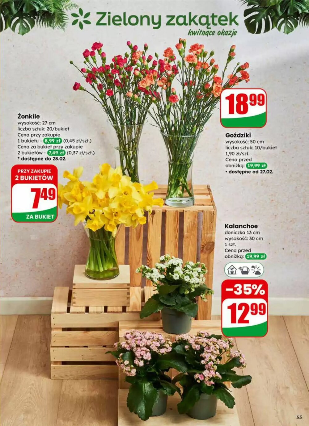 Gazetka promocyjna Dino  ważna od 25.02.2026 - Strona 55.