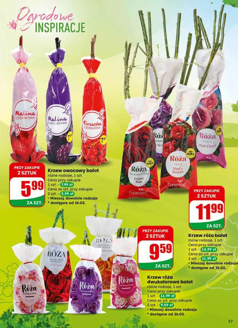 Gazetka promocyjna Dino  ważna od 25.02.2026 - Strona 57.