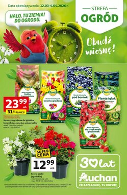 Gazetka promocyjna Auchan ważna od 12.03.2026