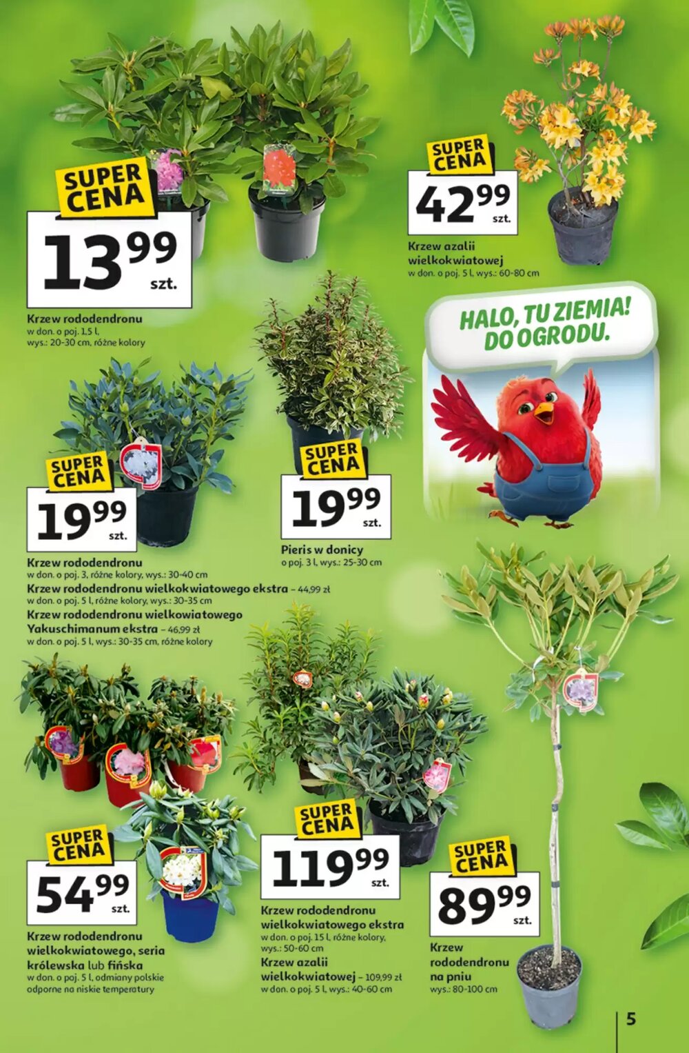 Gazetka promocyjna Auchan  ważna od 12.03.2026 - Strona 5.
