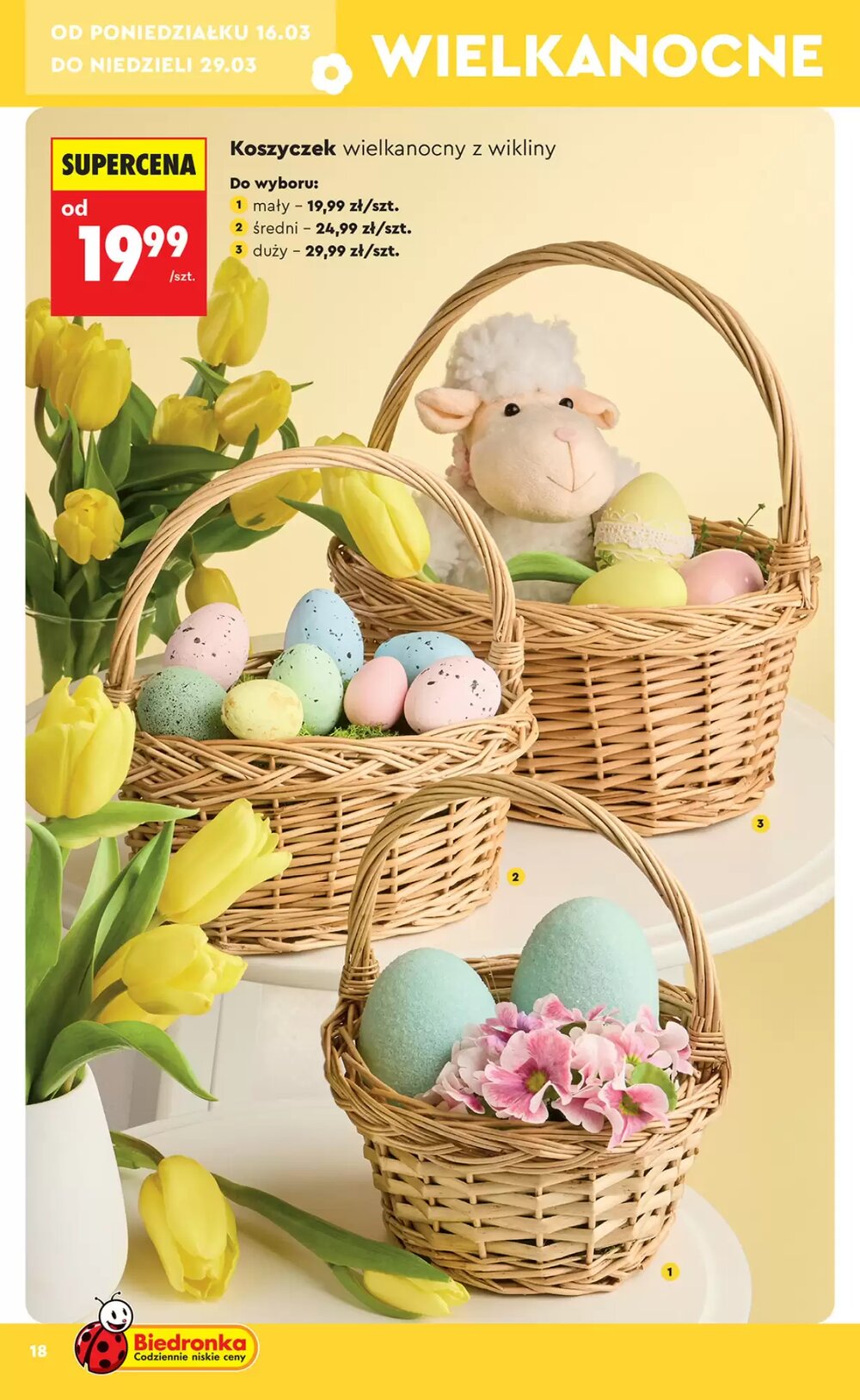 Gazetka promocyjna Biedronka  ważna od 14.03.2026 - Strona 18.