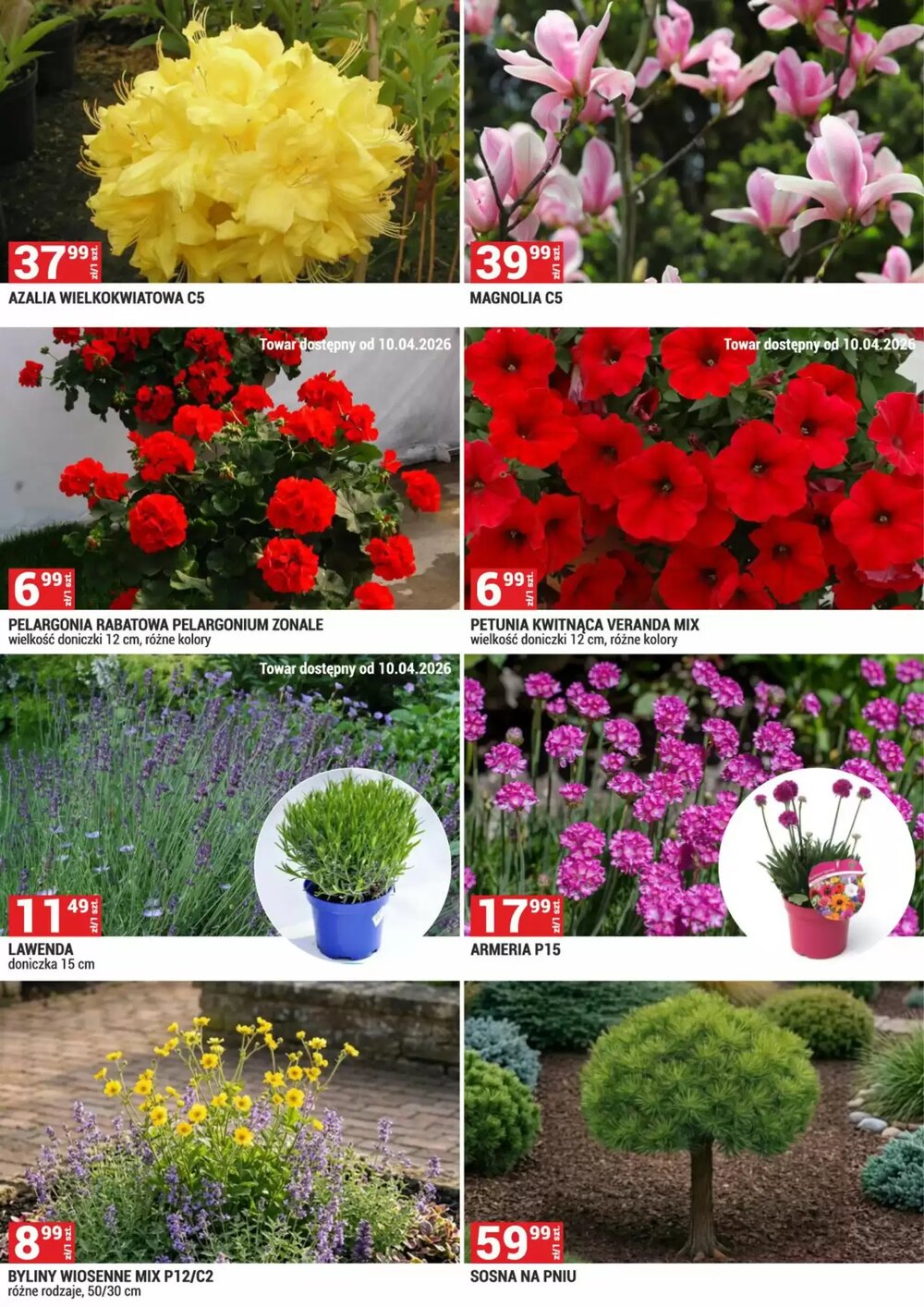 Gazetka promocyjna Merkury Market  ważna od 01.04.2026 - Strona 6.