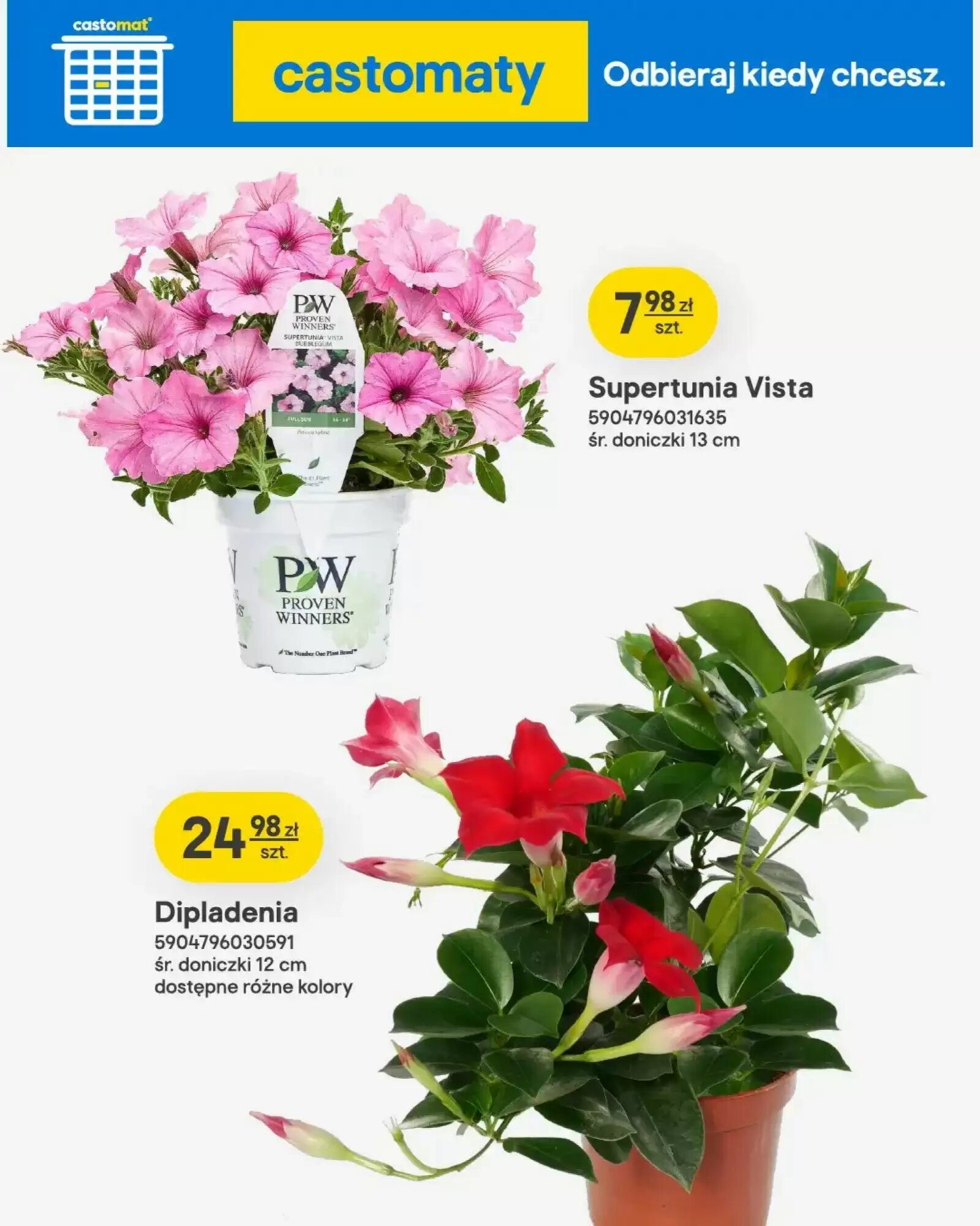 Gazetka promocyjna Castorama  ważna od 13.05.2026 - Strona 3.