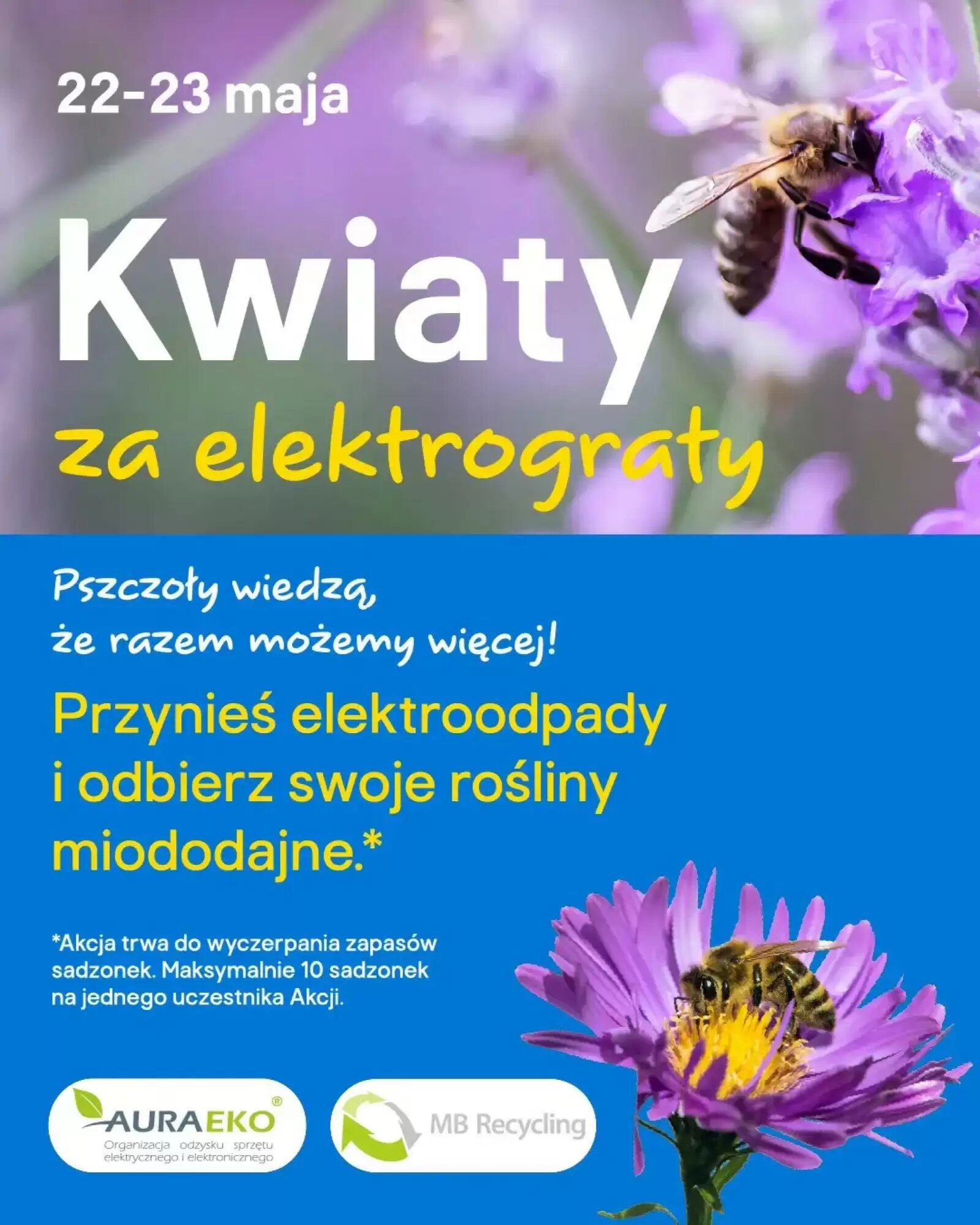 Gazetka promocyjna Castorama  ważna od 13.05.2026 - Strona 5.