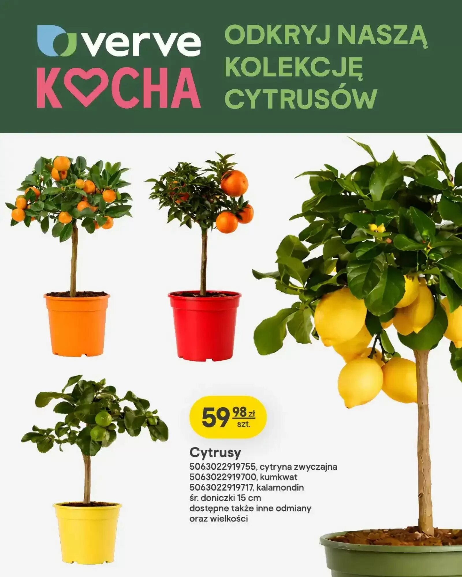 Gazetka promocyjna Castorama  ważna od 13.05.2026 - Strona 6.