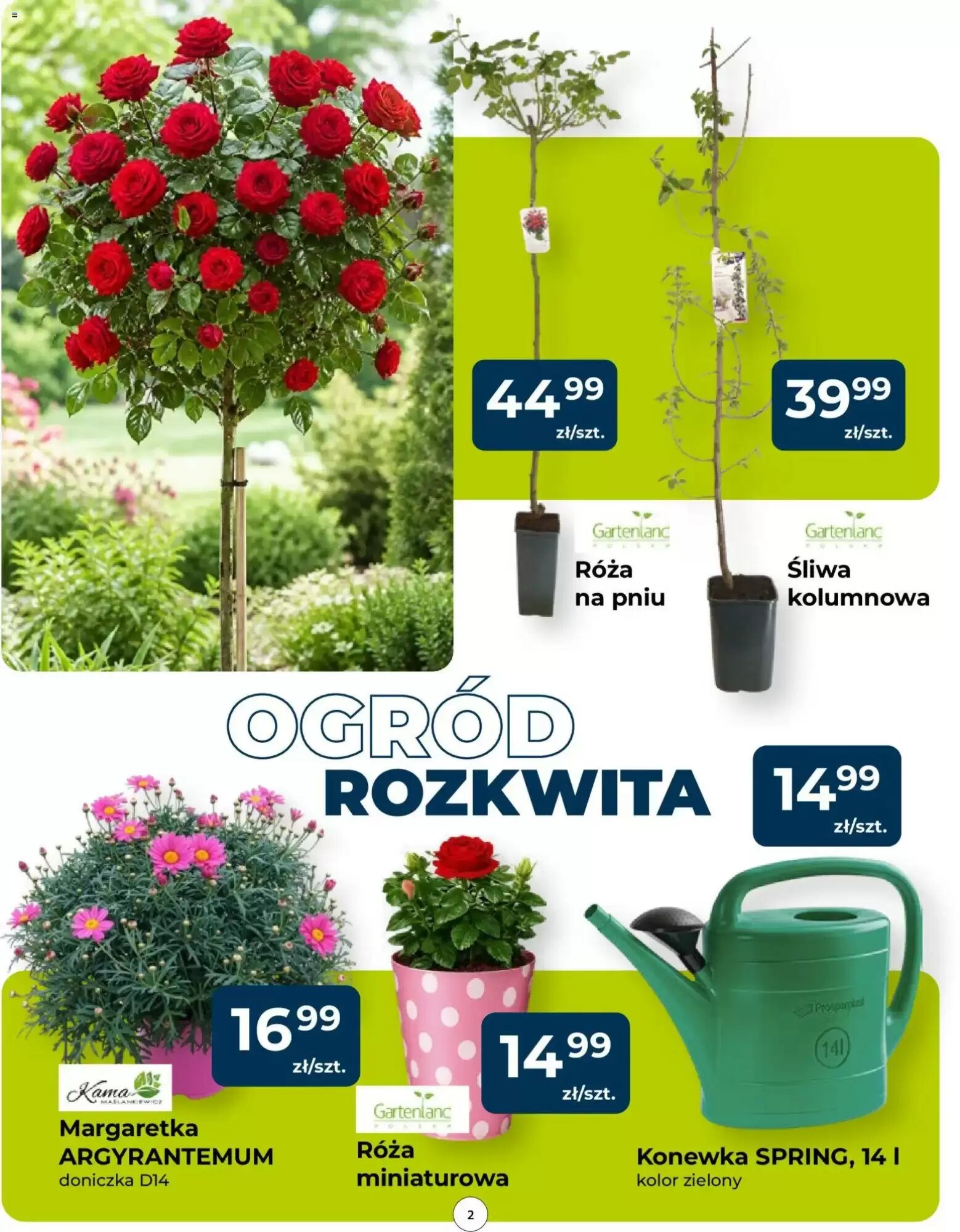 Gazetka promocyjna Mrówka  ważna od 14.05.2026 - Strona 2.