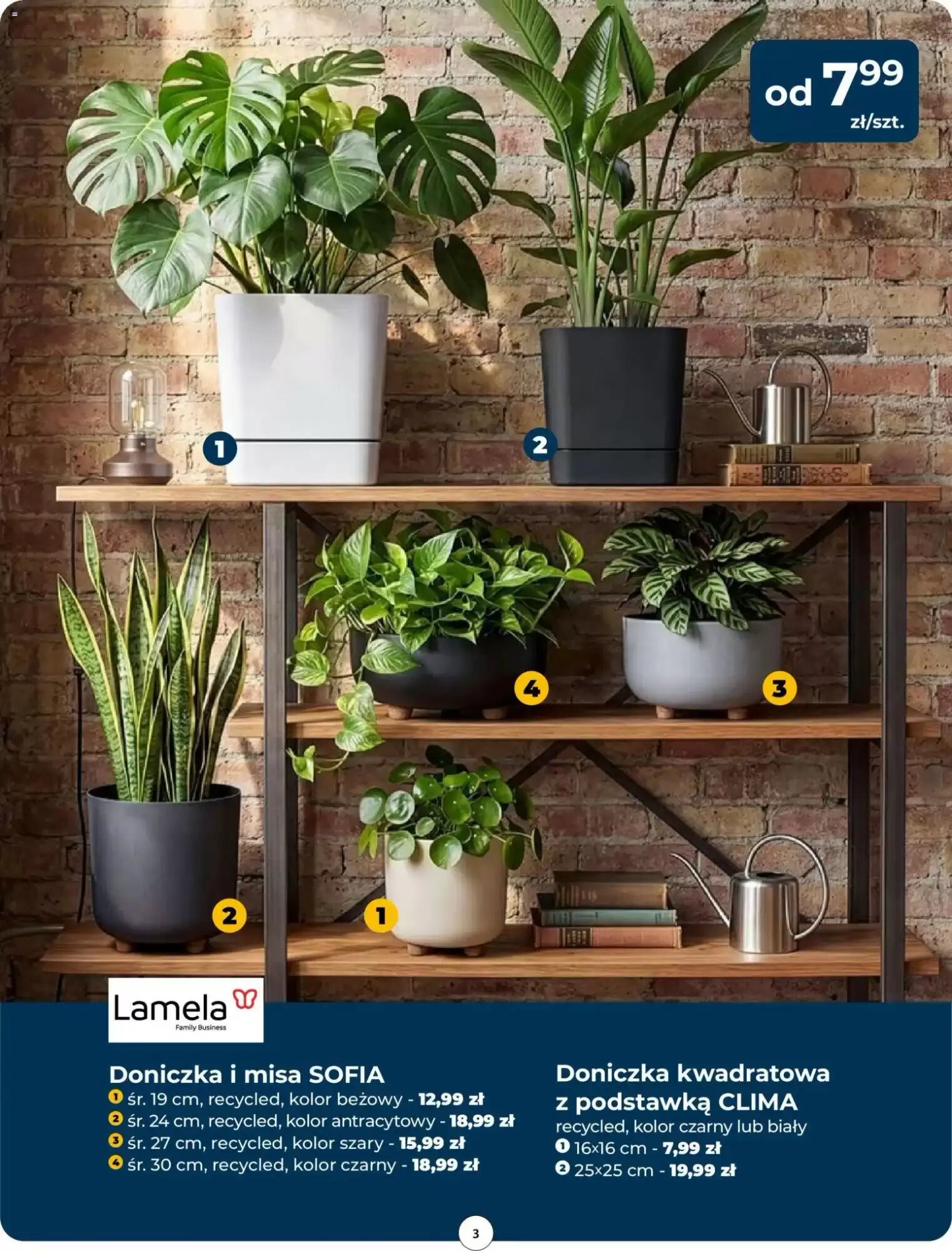 Gazetka promocyjna Mrówka  ważna od 14.05.2026 - Strona 3.
