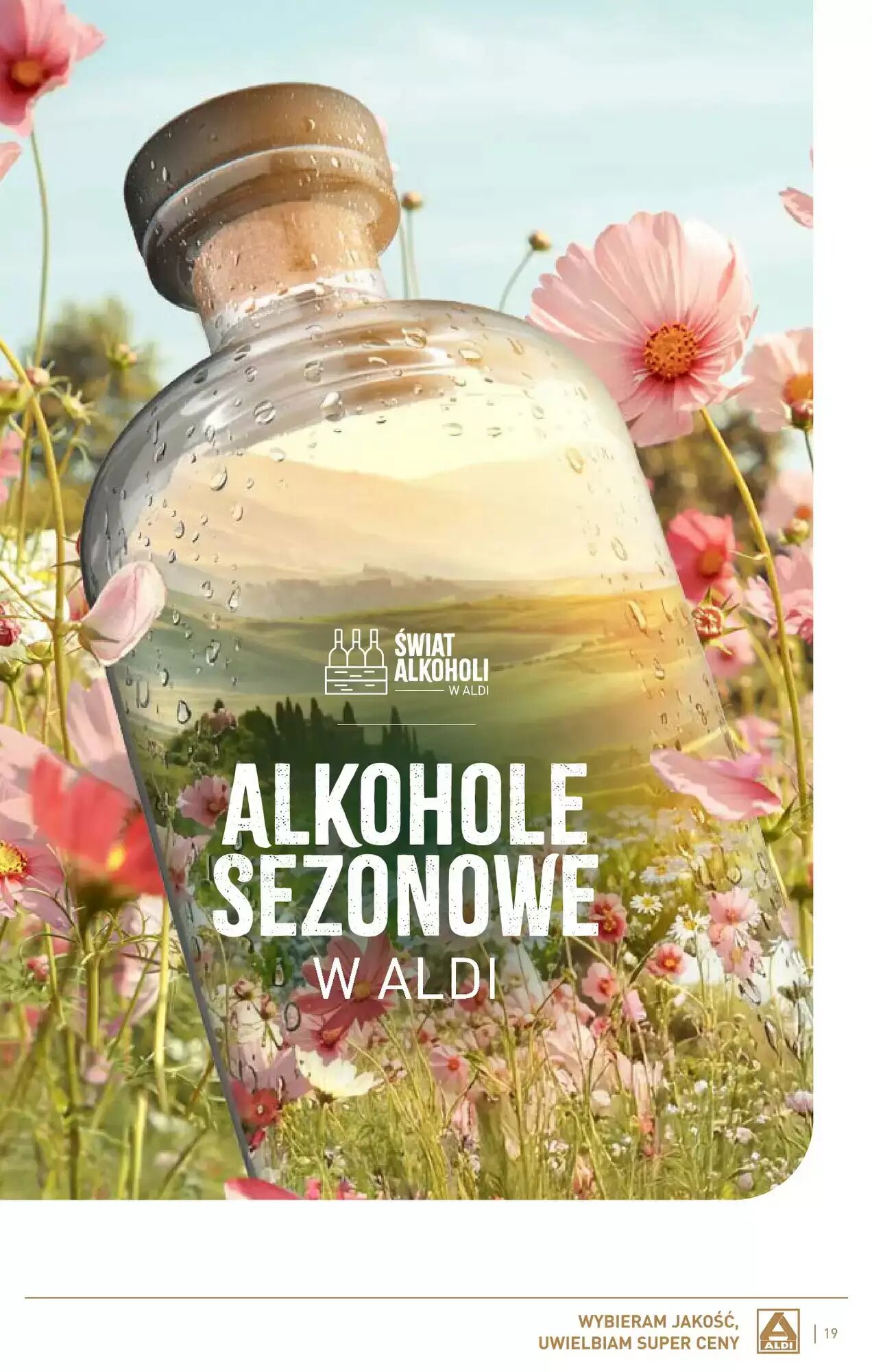 Gazetka promocyjna ALDI  ważna od 01.06.2026 - Strona 19.