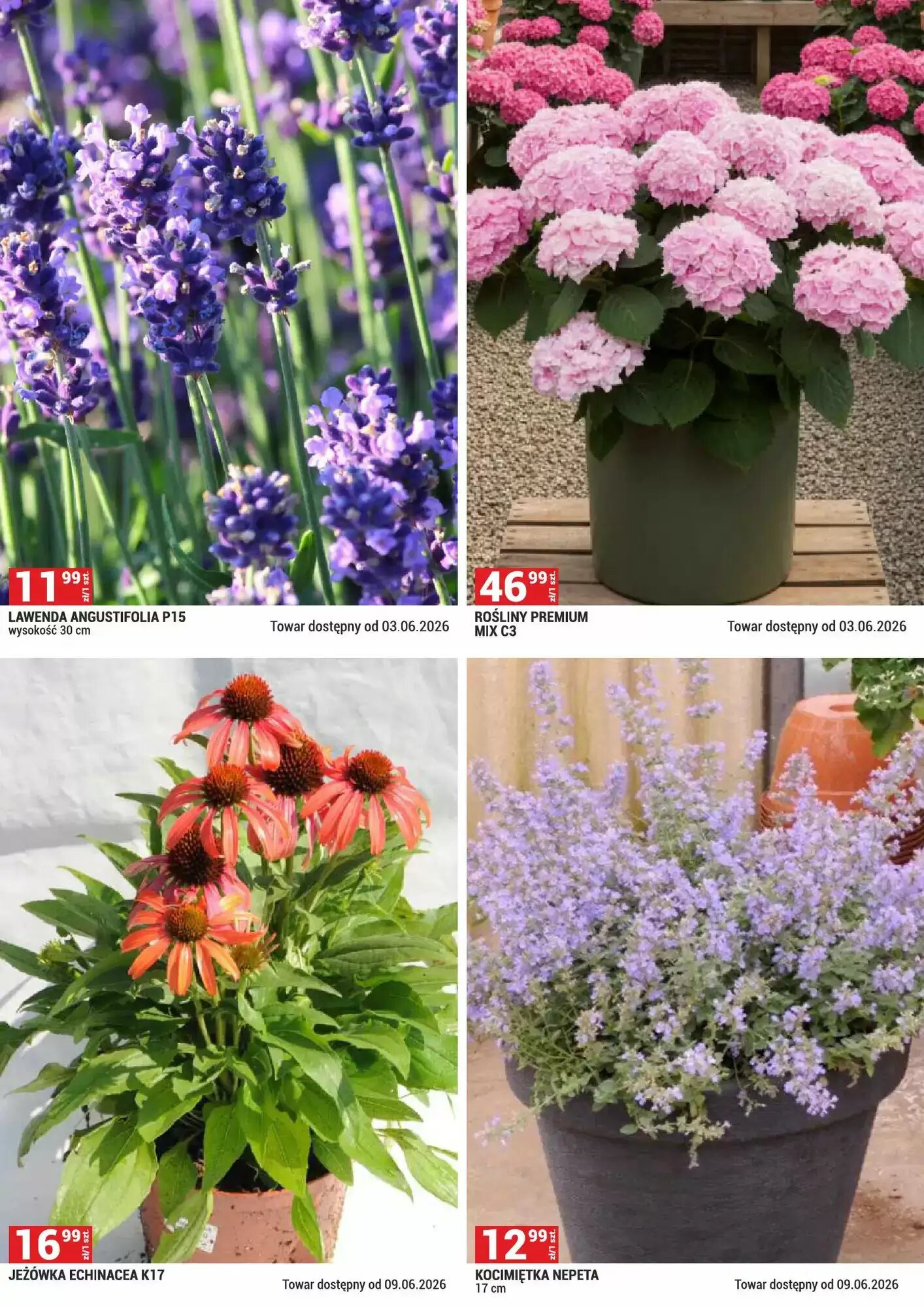 Gazetka promocyjna Merkury Market  ważna od 01.06.2026 - Strona 6.