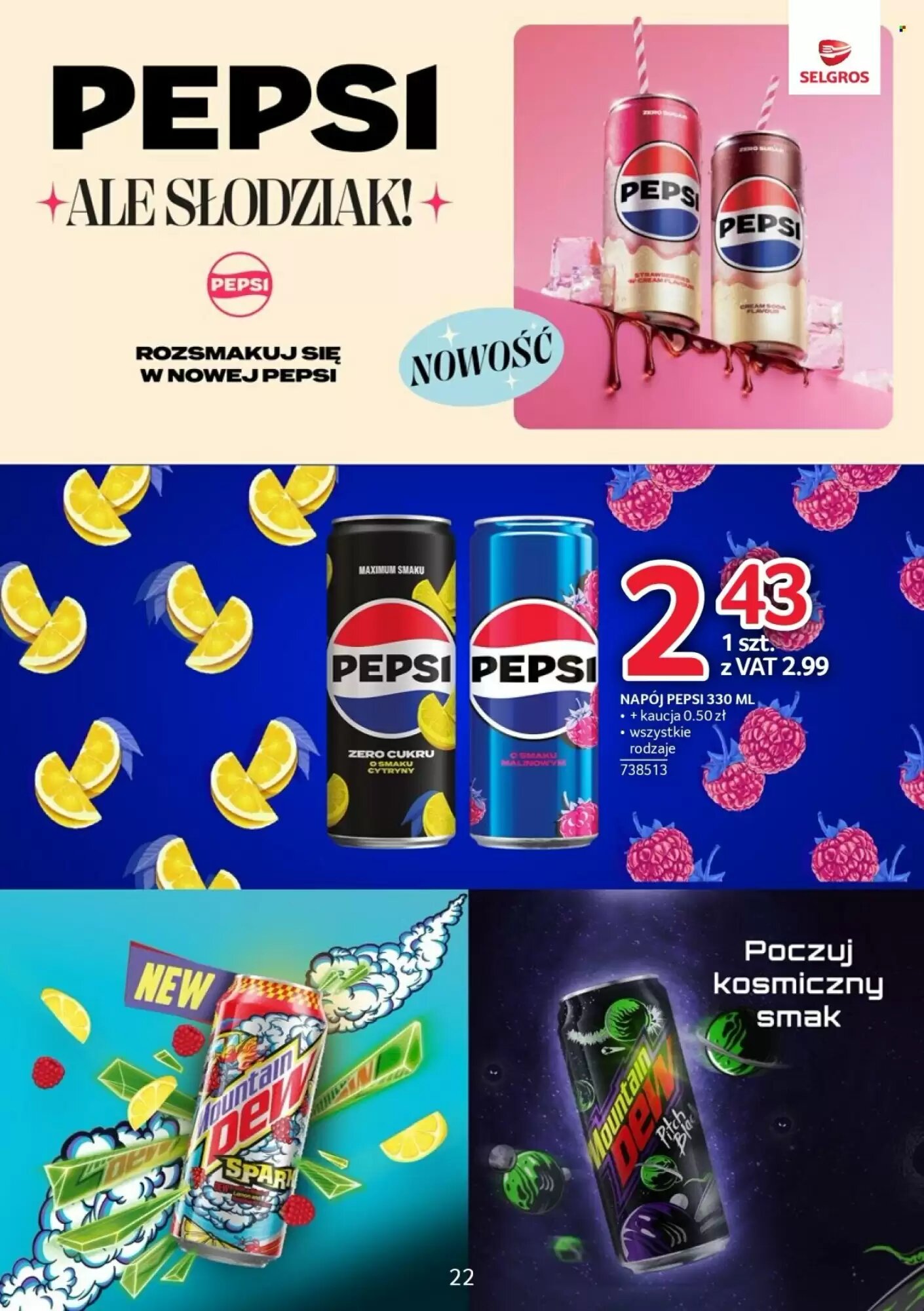 Gazetka promocyjna Selgros  ważna od 02.06.2026 - Strona 22.