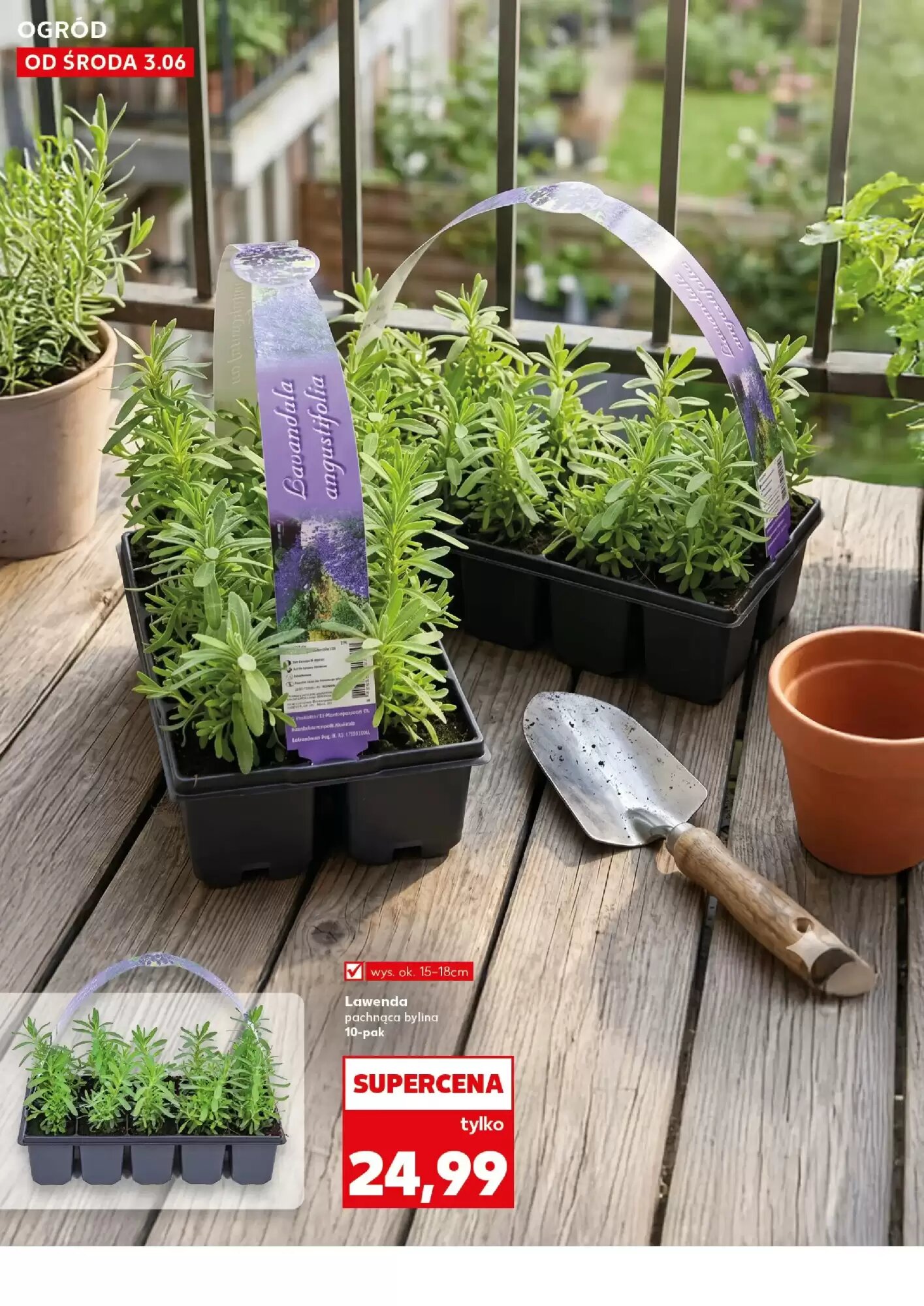 Gazetka promocyjna Kaufland  ważna od 03.06.2026 - Strona 10.