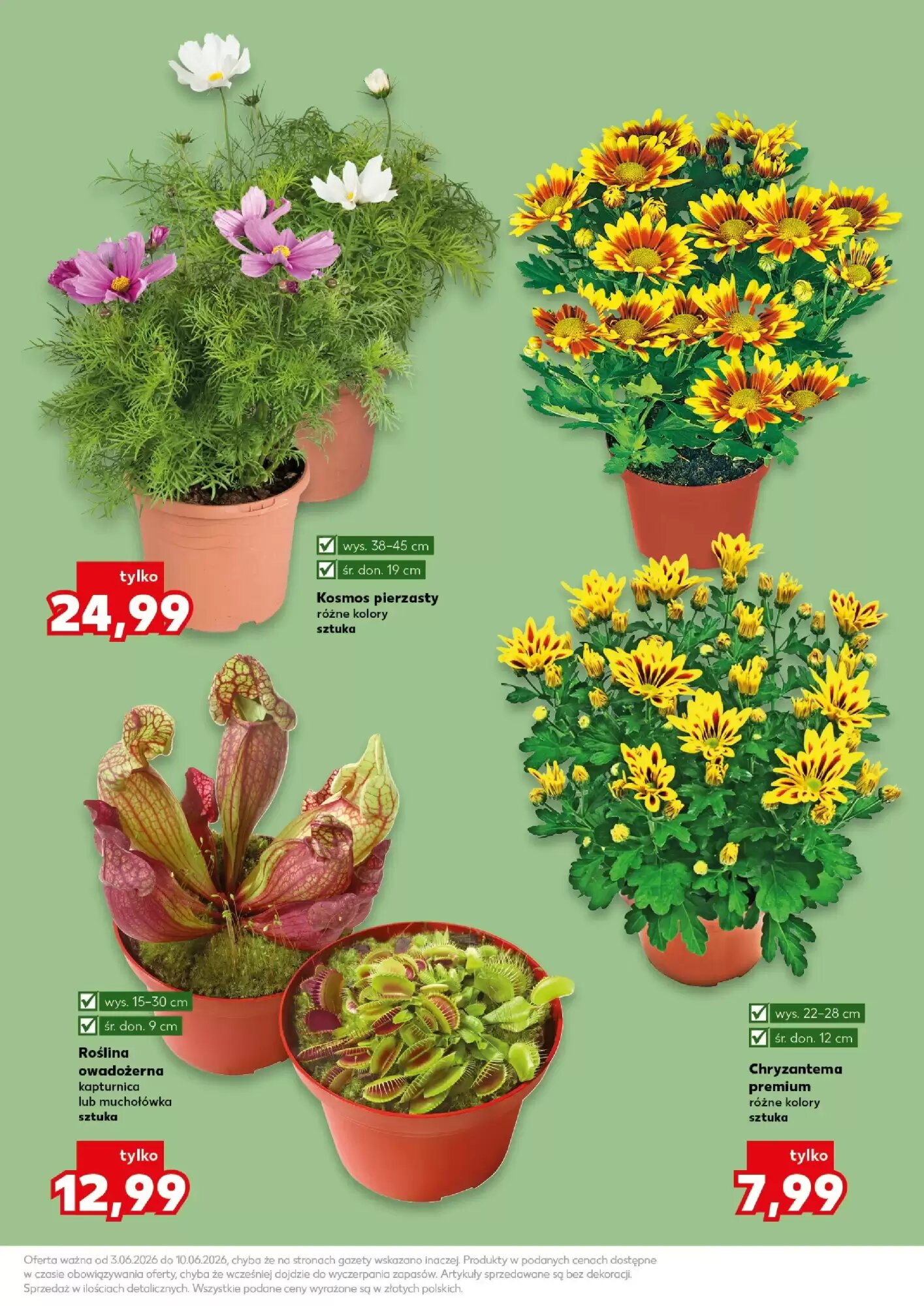 Gazetka promocyjna Kaufland  ważna od 03.06.2026 - Strona 11.