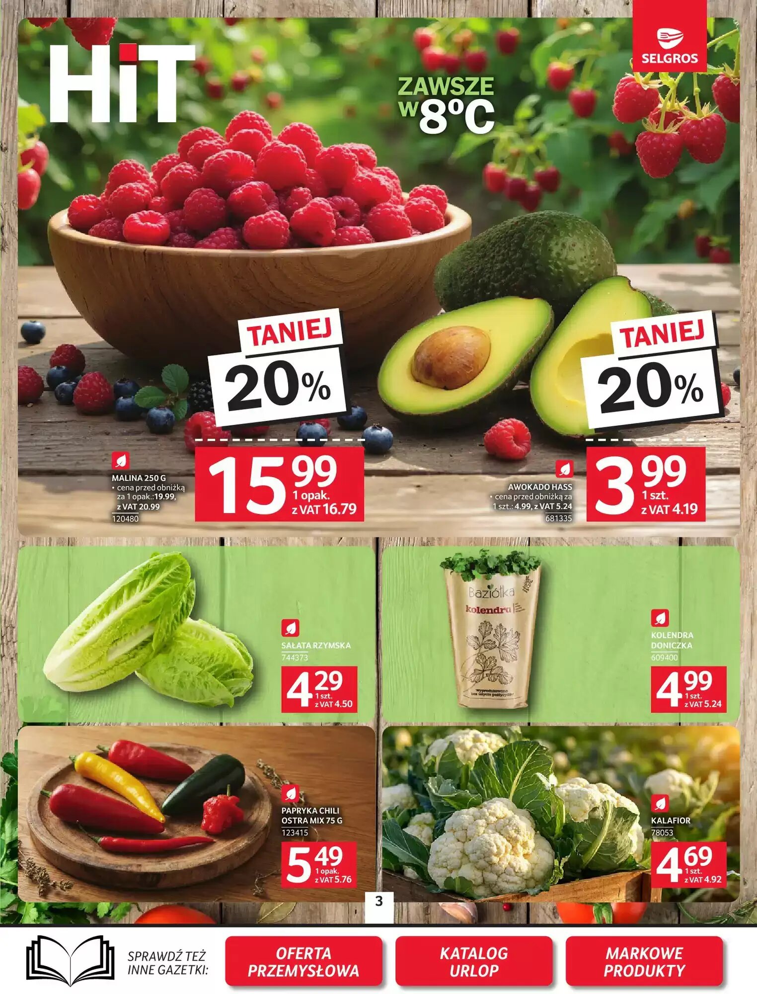 Gazetka promocyjna Selgros  ważna od 18.06.2026 - Strona 3.