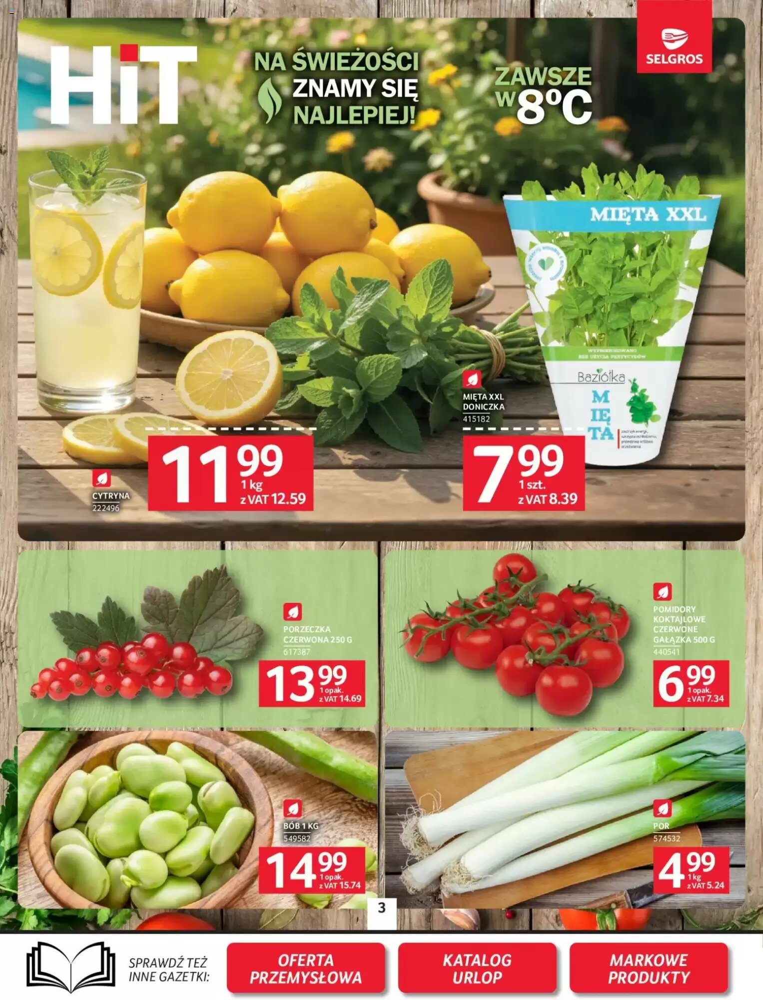 Gazetka promocyjna Selgros  ważna od 02.07.2026 - Strona 3.