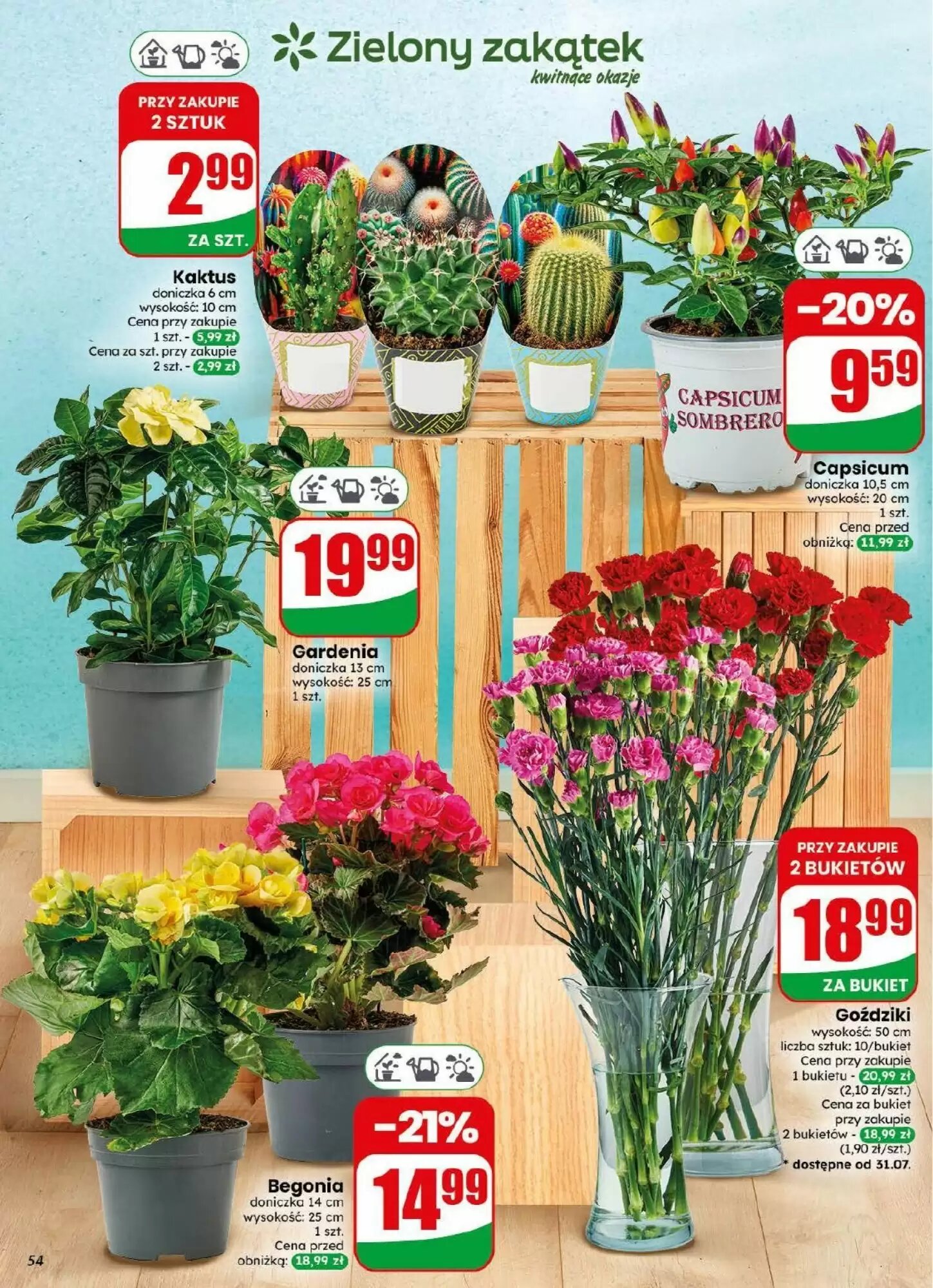 Gazetka promocyjna Dino  ważna od 29.07.2026 - Strona 54.