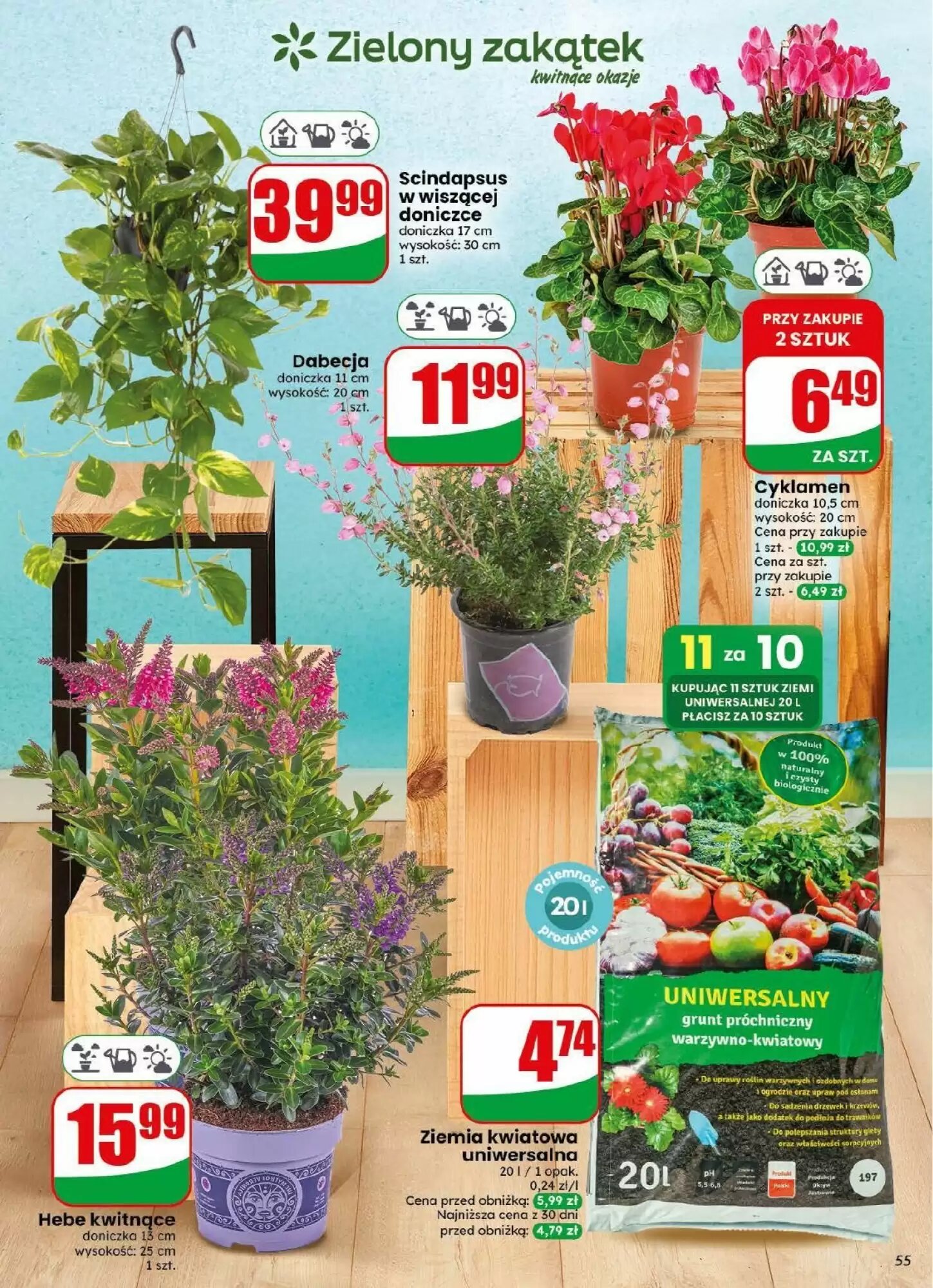 Gazetka promocyjna Dino  ważna od 29.07.2026 - Strona 55.