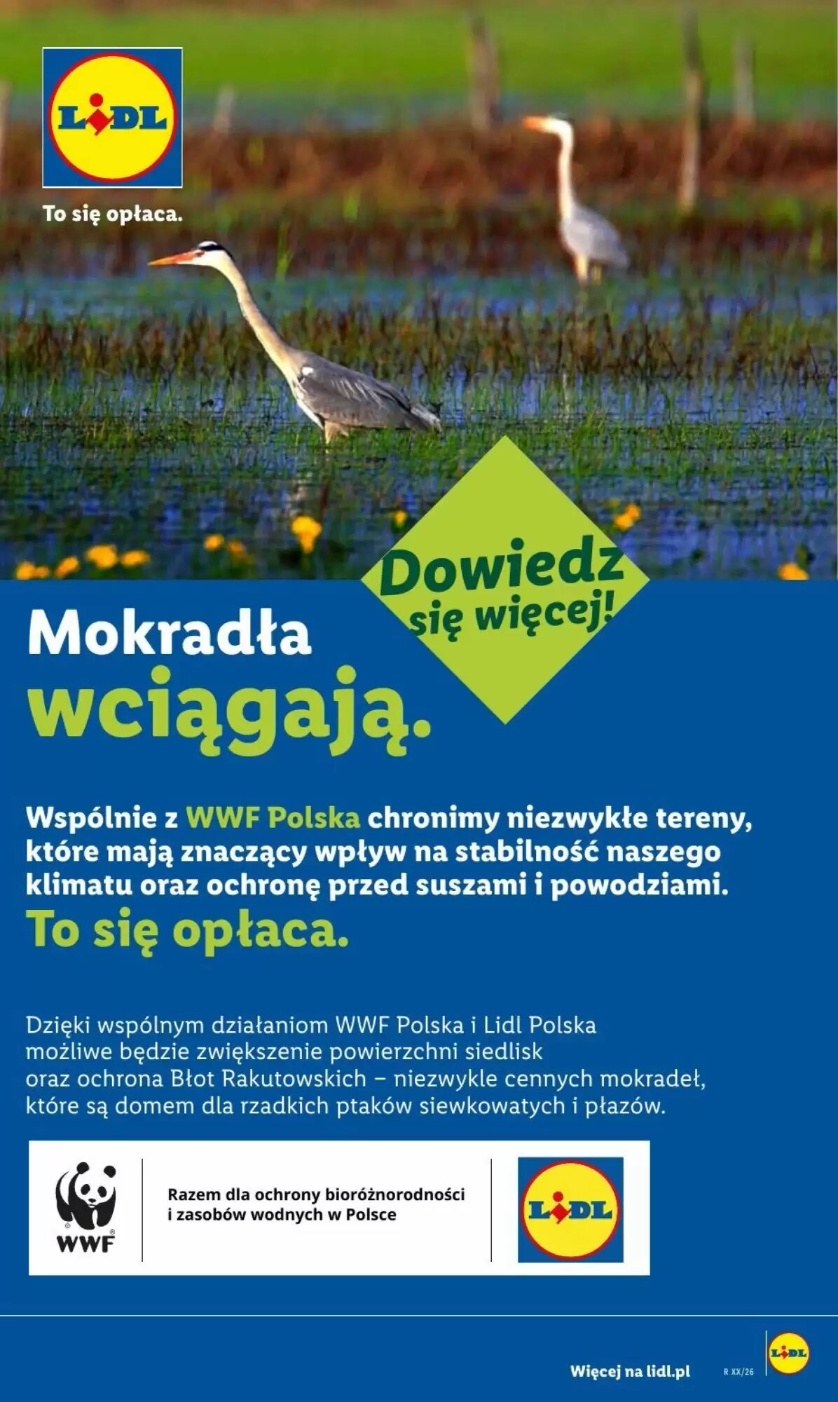 Gazetka promocyjna Lidl  ważna od 03.08.2026 - Strona 56.