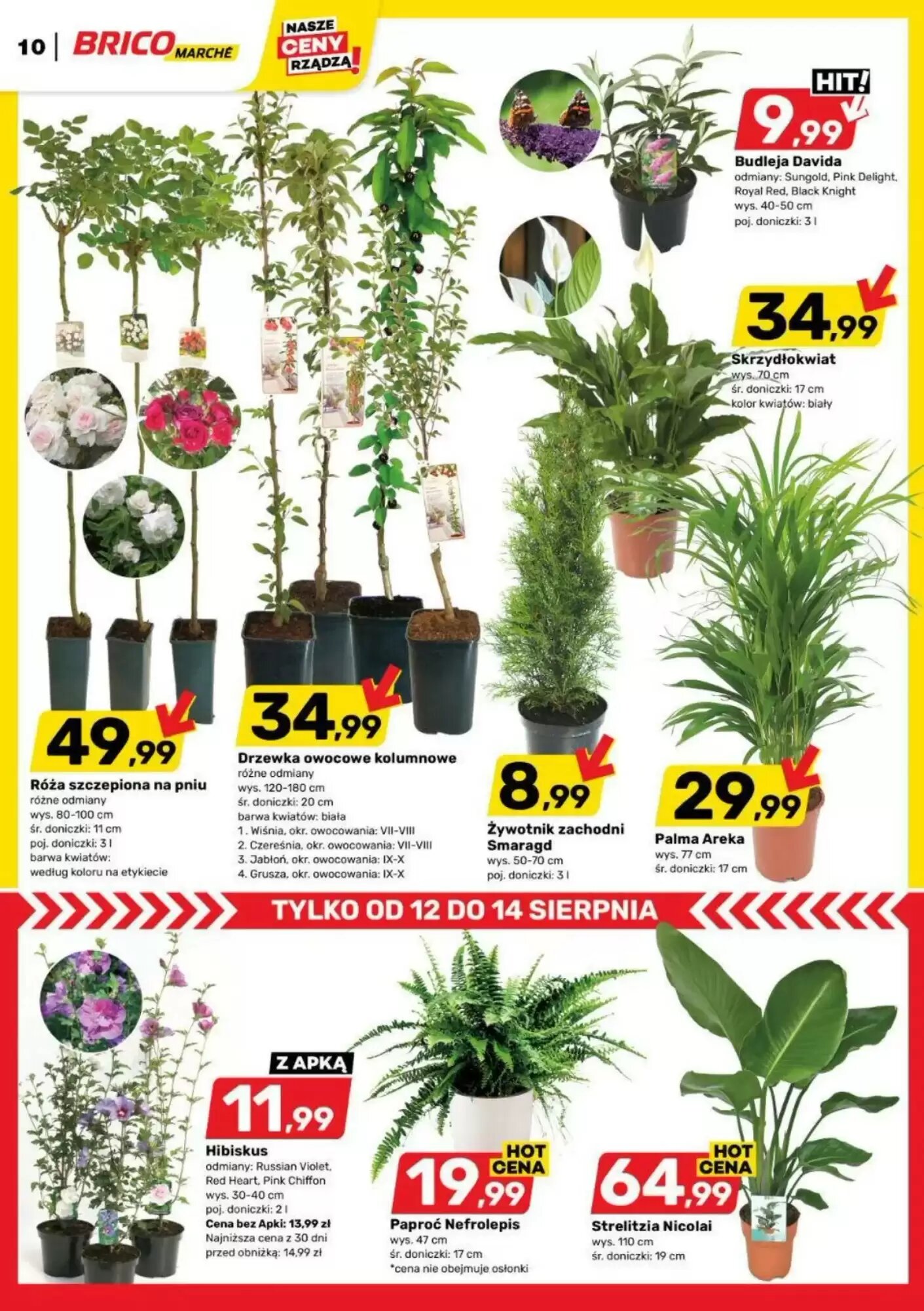Gazetka promocyjna Bricomarche  ważna od 12.08.2026 - Strona 10.