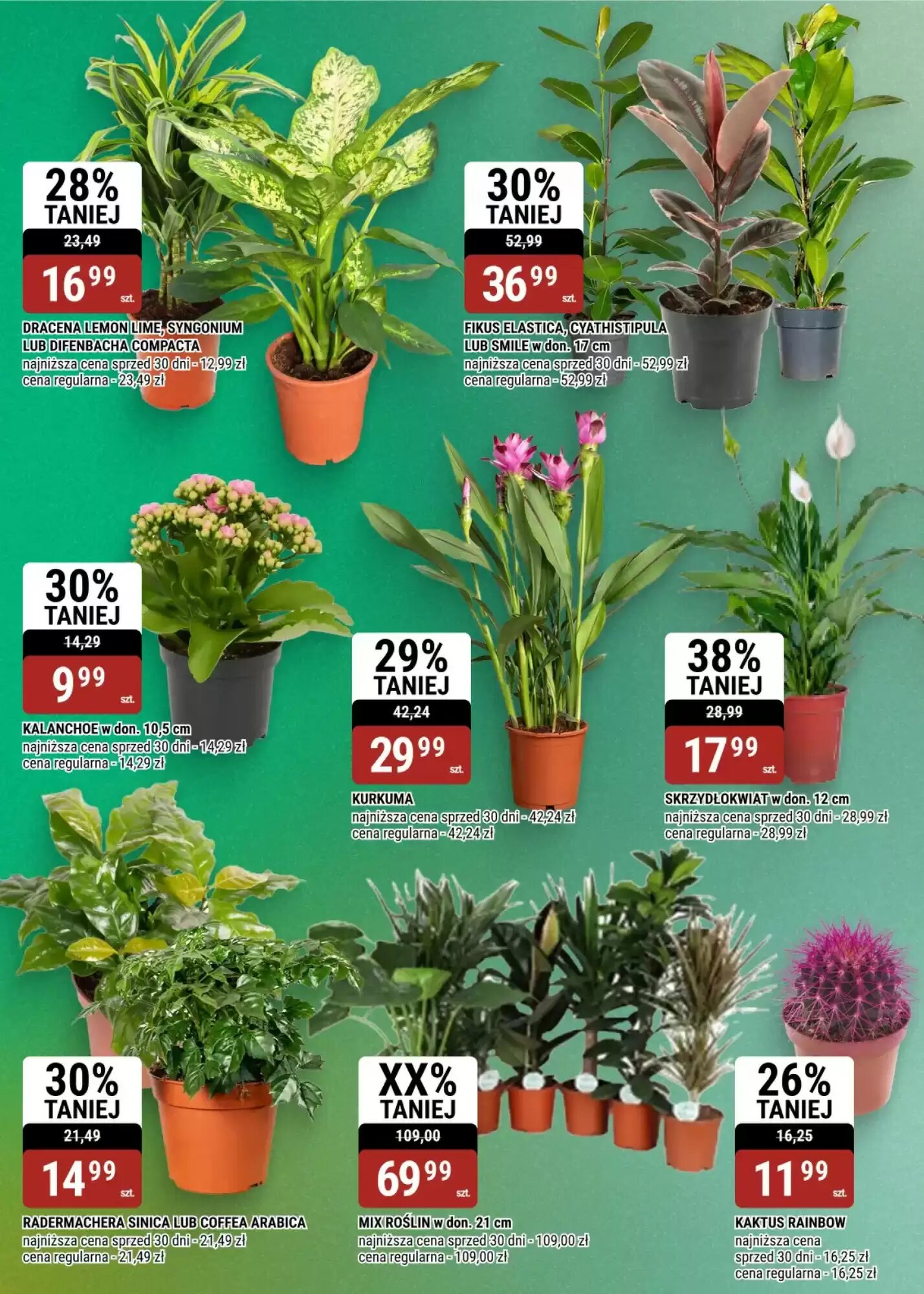 Gazetka promocyjna bi1  ważna od 12.08.2026 - Strona 14.