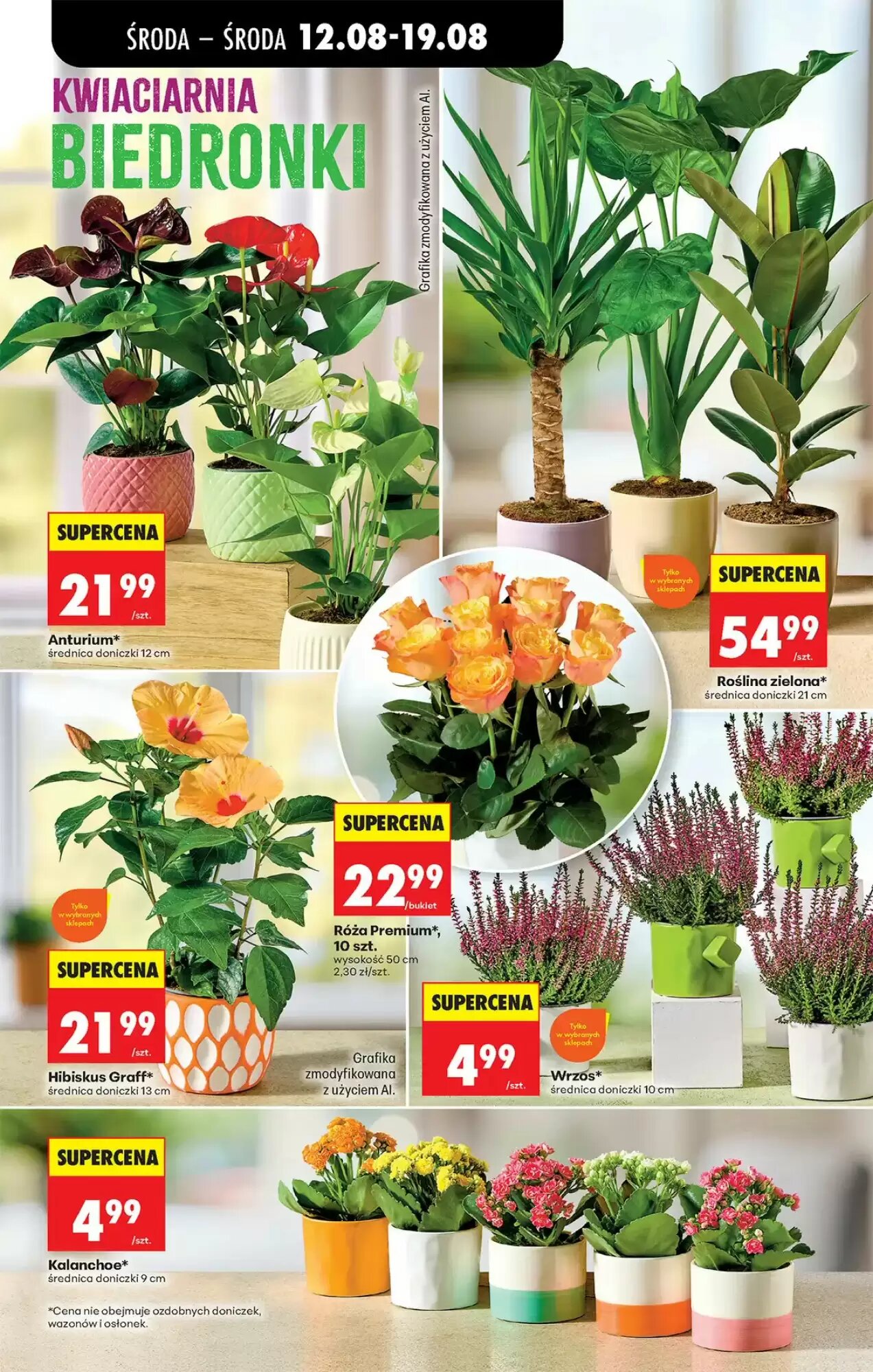 Gazetka promocyjna Biedronka  ważna od 12.08.2026 - Strona 79.