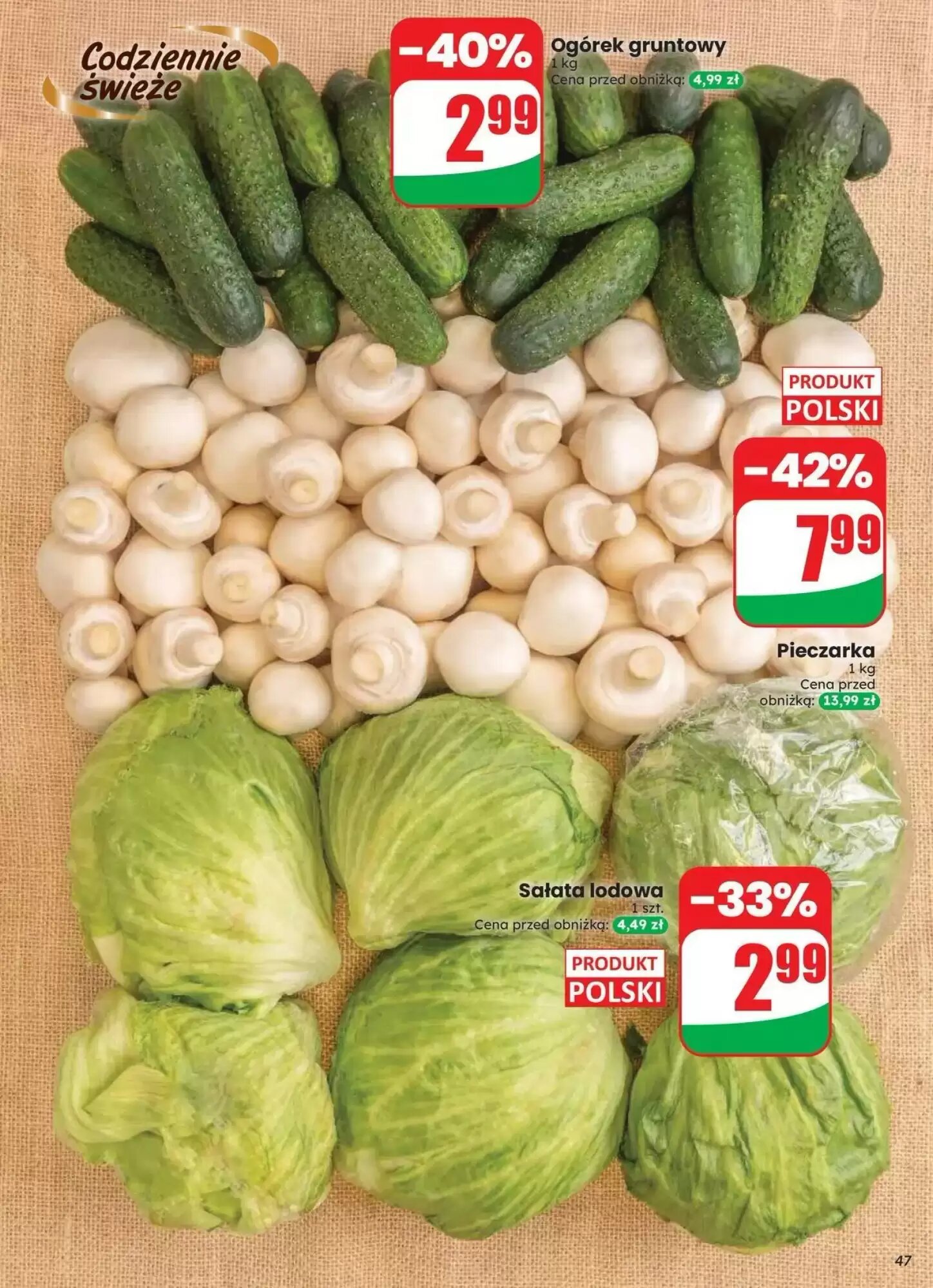 Gazetka promocyjna Dino  ważna od 12.08.2026 - Strona 47.
