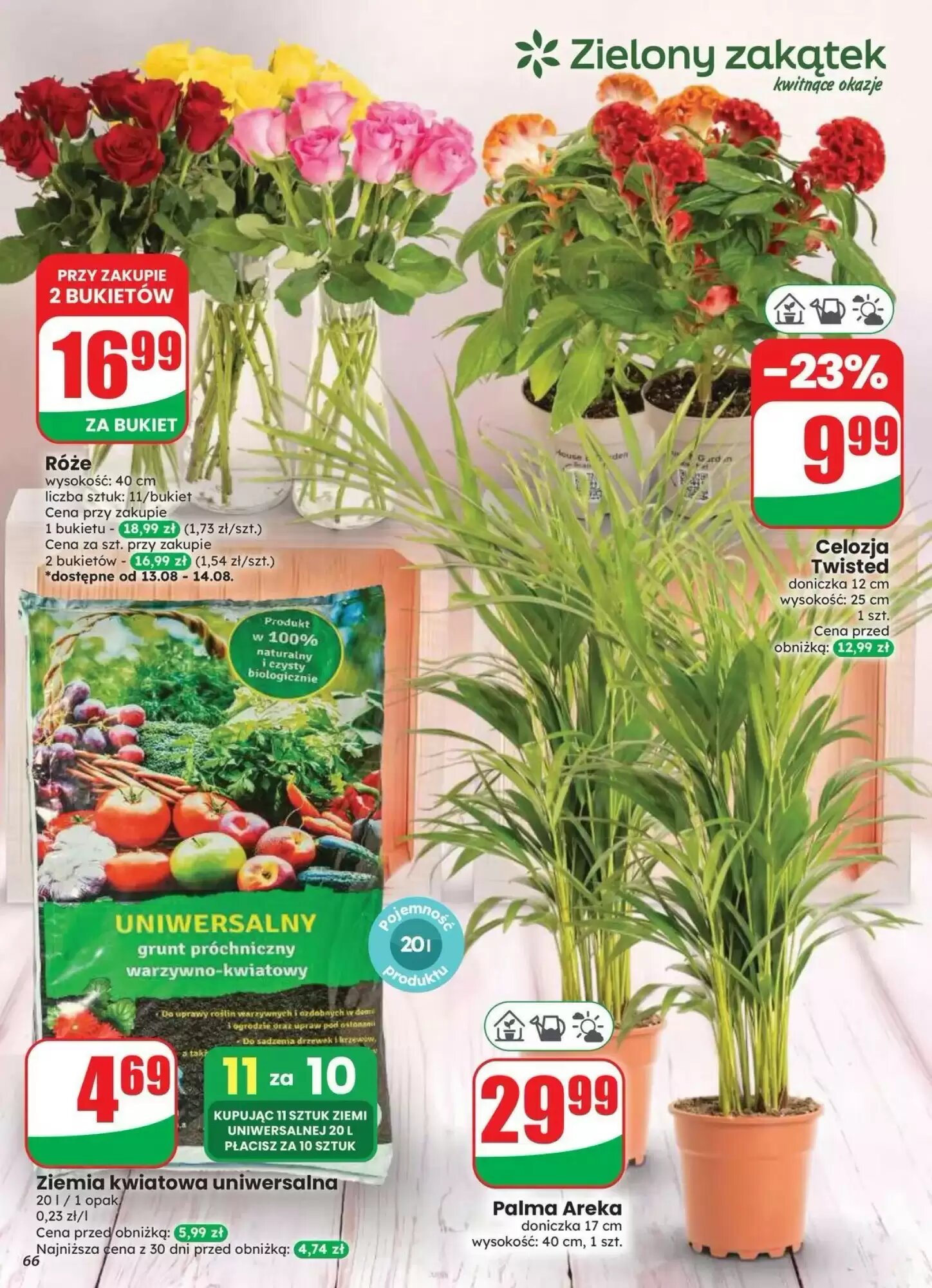 Gazetka promocyjna Dino  ważna od 12.08.2026 - Strona 66.