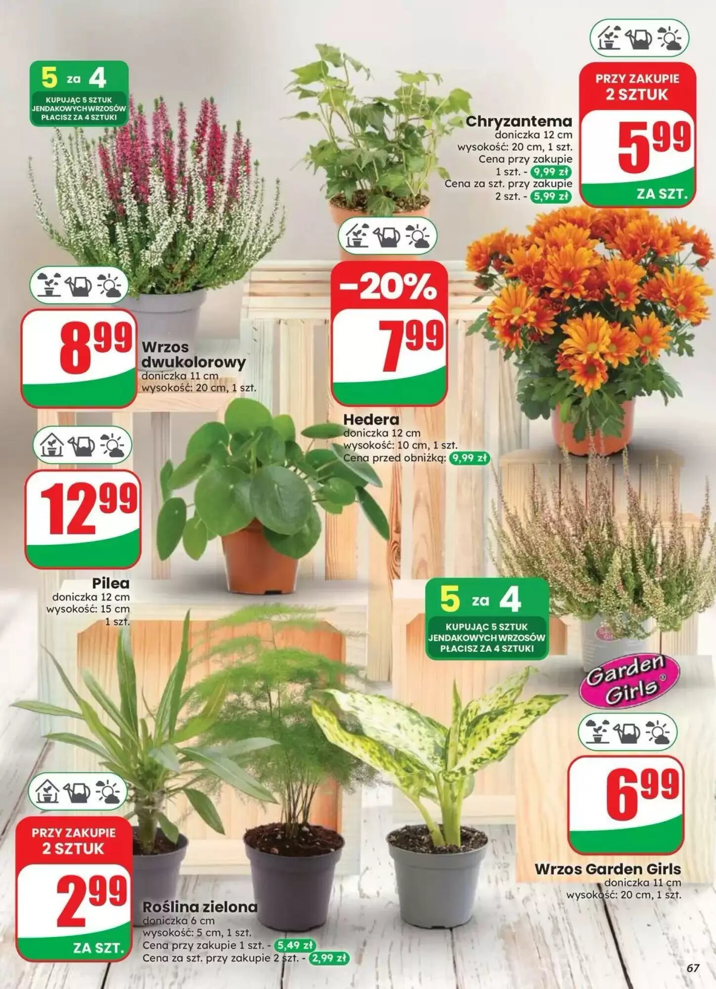 Gazetka promocyjna Dino  ważna od 12.08.2026 - Strona 67.