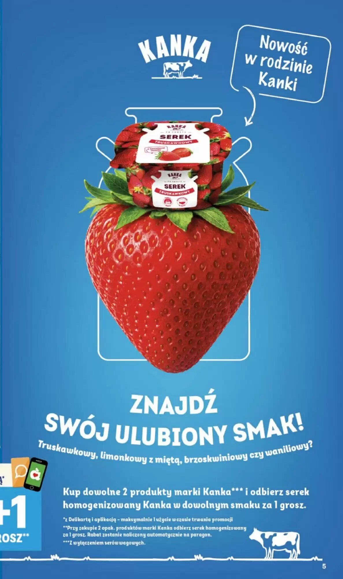 Gazetka promocyjna Delikatesy Centrum  ważna od 13.08.2026 - Strona 5.