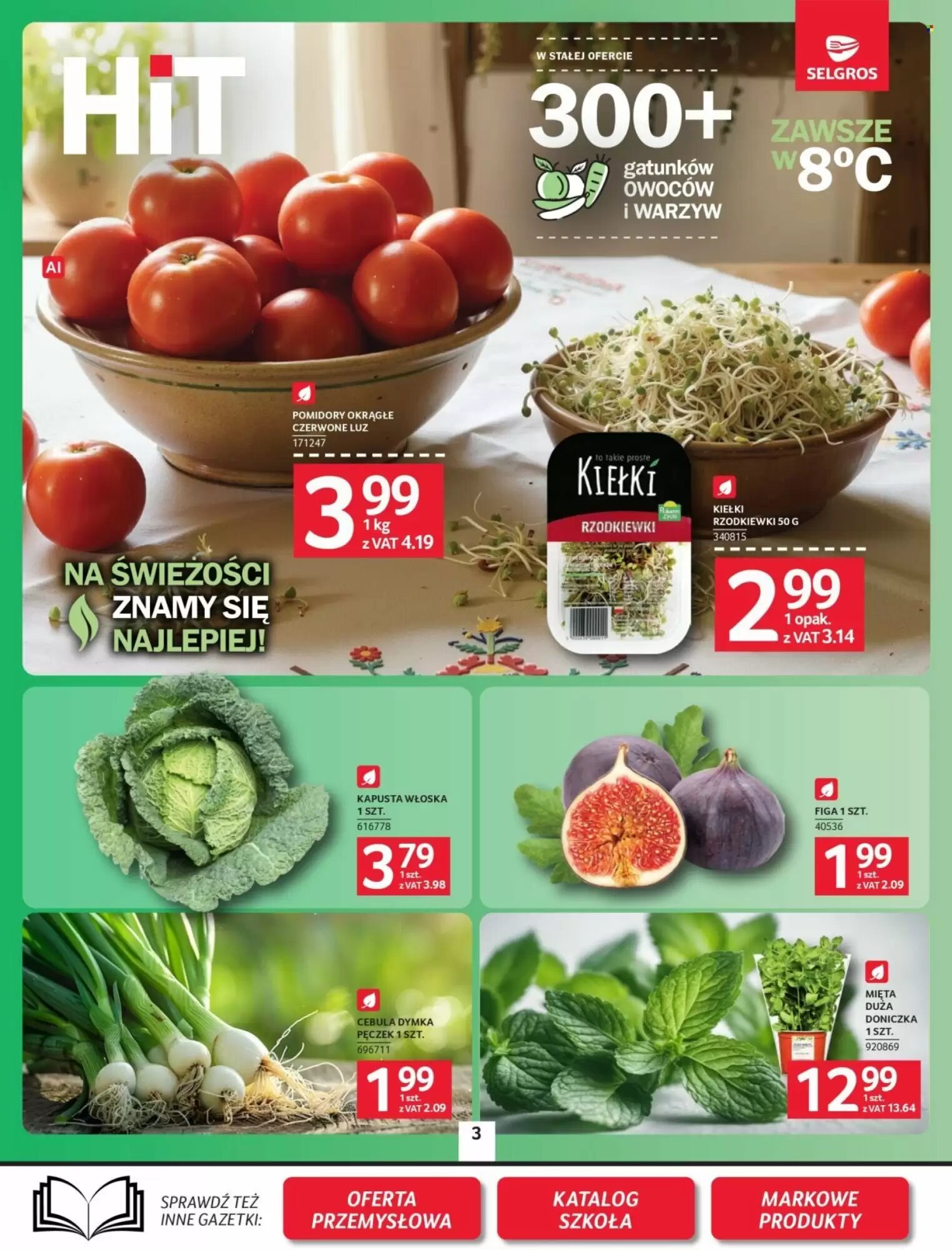 Gazetka promocyjna Selgros  ważna od 13.08.2026 - Strona 3.