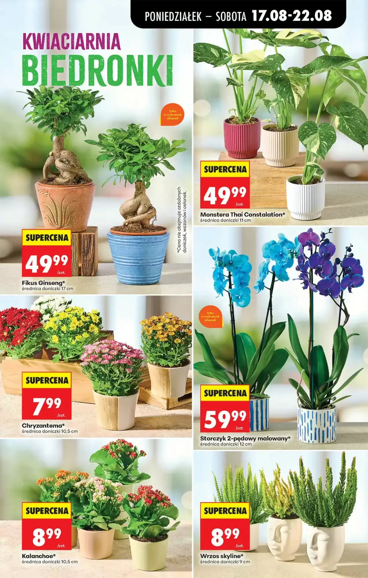 Gazetka promocyjna Biedronka  ważna od 17.08.2026 - Strona 79.
