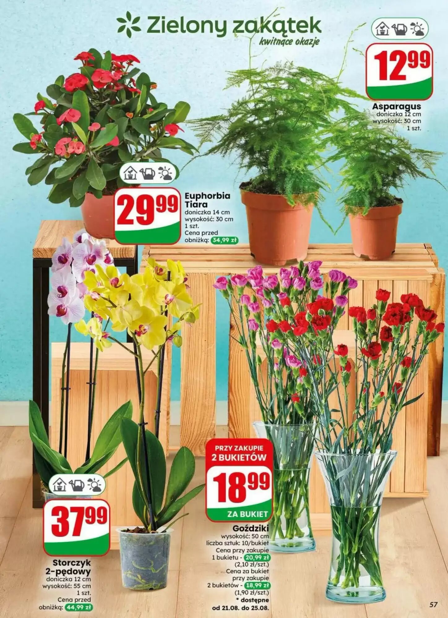 Gazetka promocyjna Dino  ważna od 19.08.2026 - Strona 57.