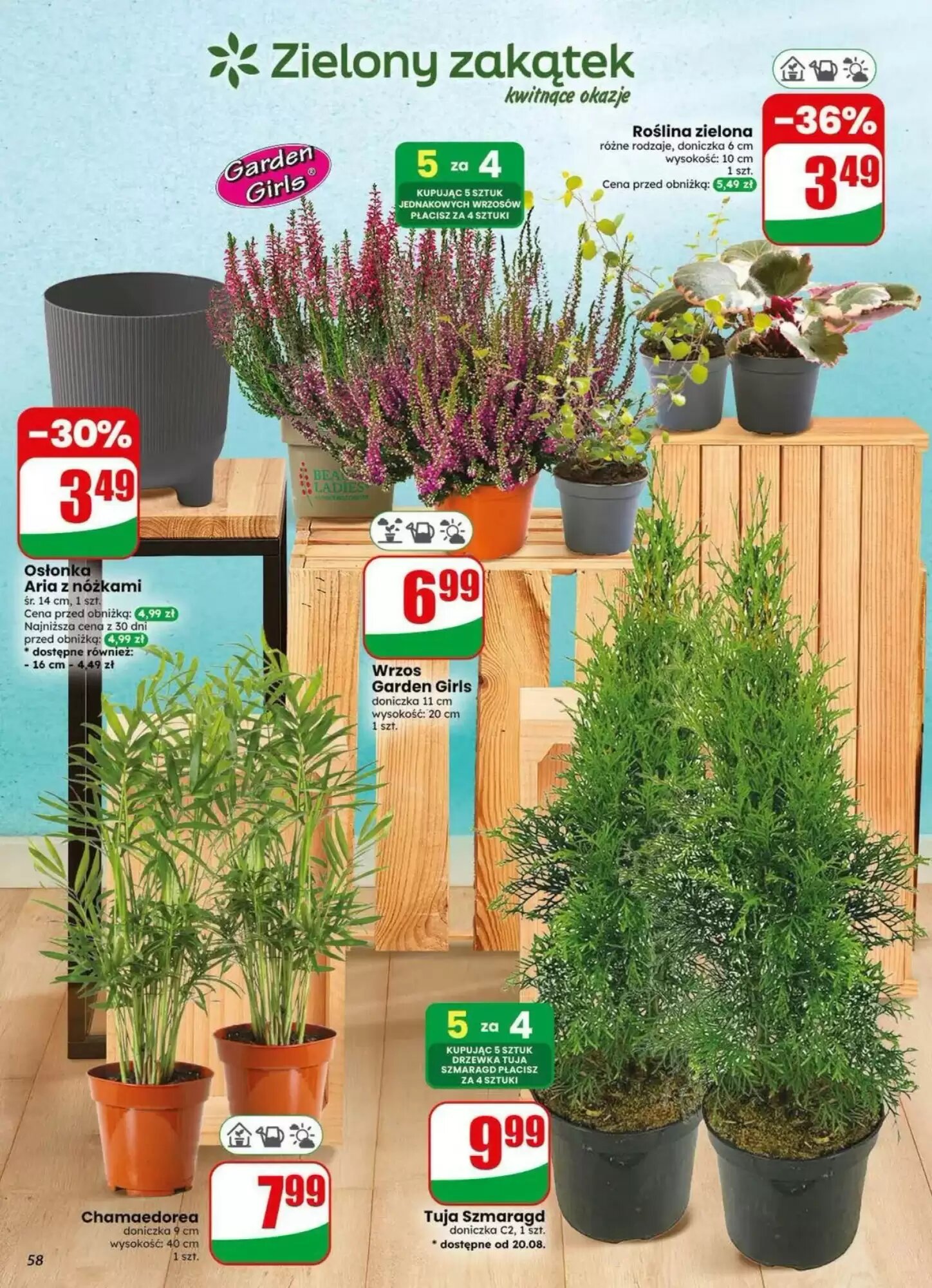 Gazetka promocyjna Dino  ważna od 19.08.2026 - Strona 58.