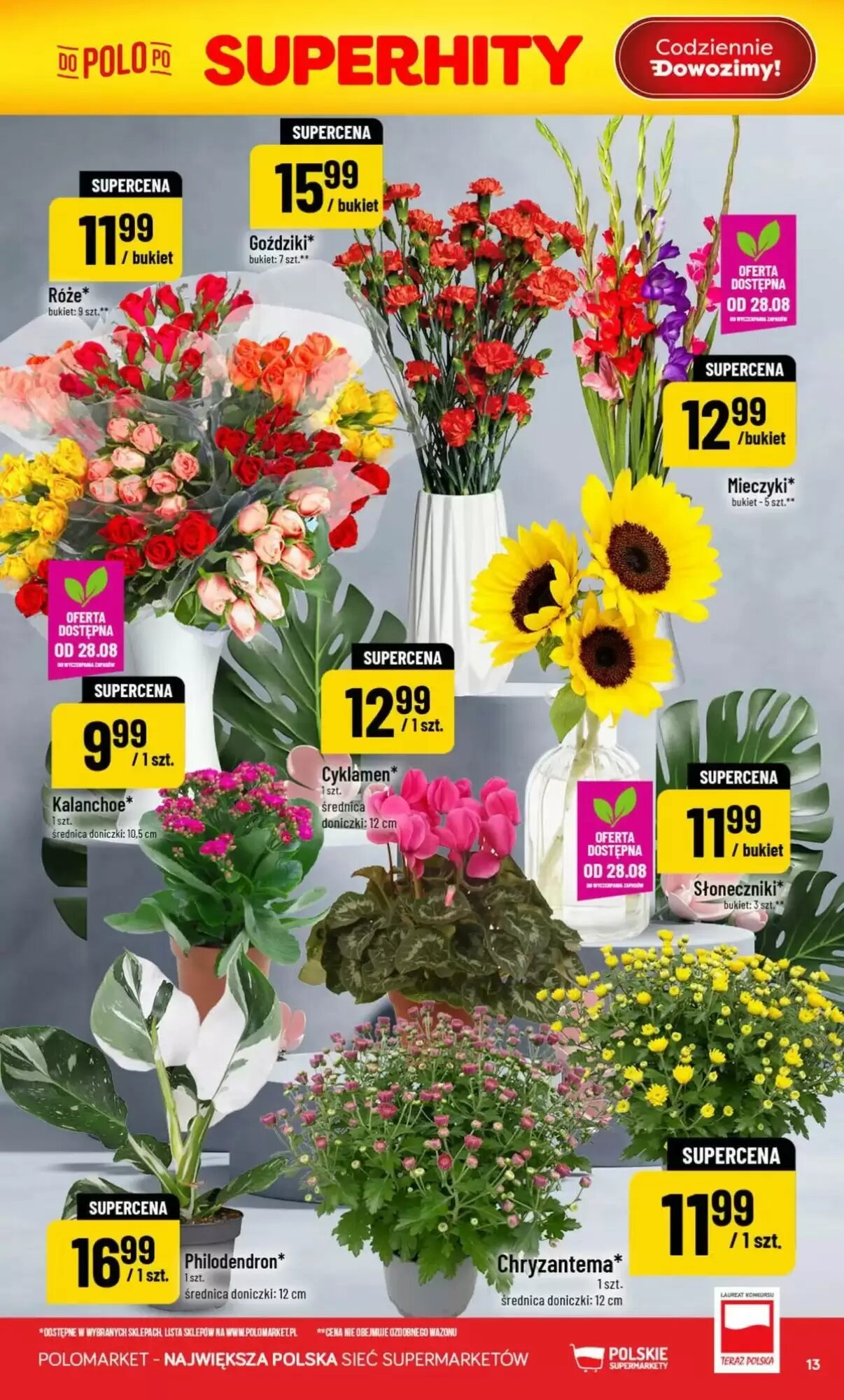 Gazetka promocyjna Polomarket  ważna od 26.08.2026 - Strona 13.