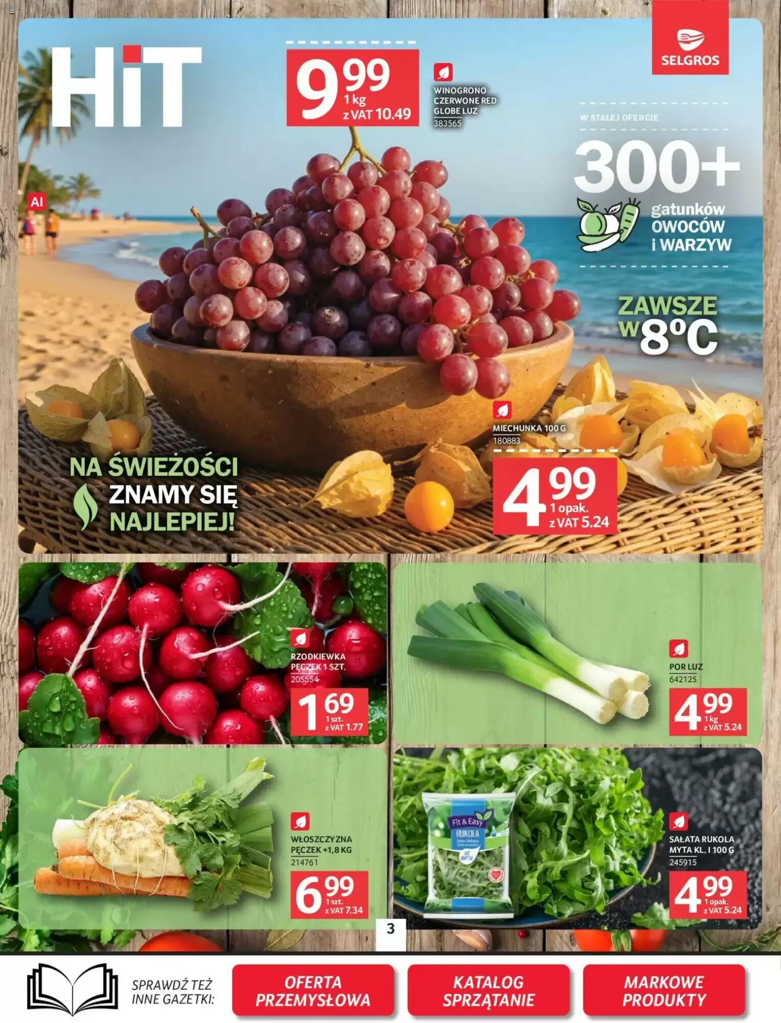 Gazetka promocyjna Selgros  ważna od 27.08.2026 - Strona 3.