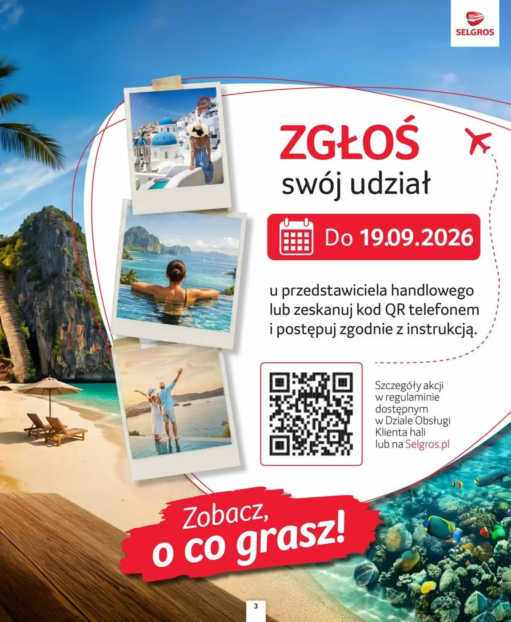 Gazetka promocyjna Selgros  ważna od 27.08.2026 - Strona 3.
