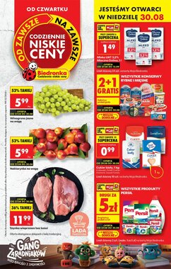 Gazetka promocyjna Biedronka  ważna od 27.08.2026