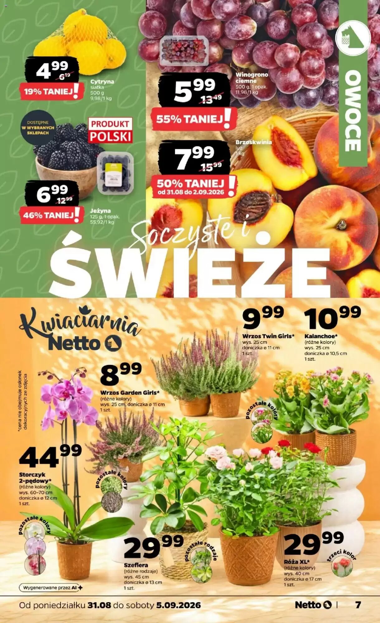 Gazetka promocyjna Netto  ważna od 31.08.2026 - Strona 7.
