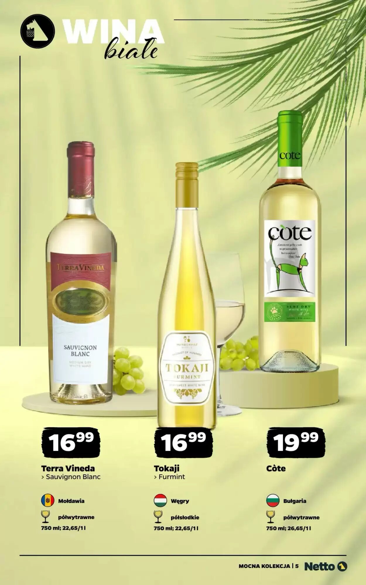 Gazetka promocyjna Netto  ważna od 31.08.2026 - Strona 5.