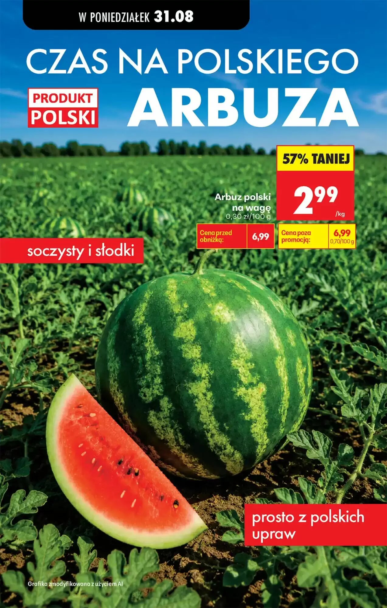 Gazetka promocyjna Biedronka  ważna od 31.08.2026 - Strona 61.