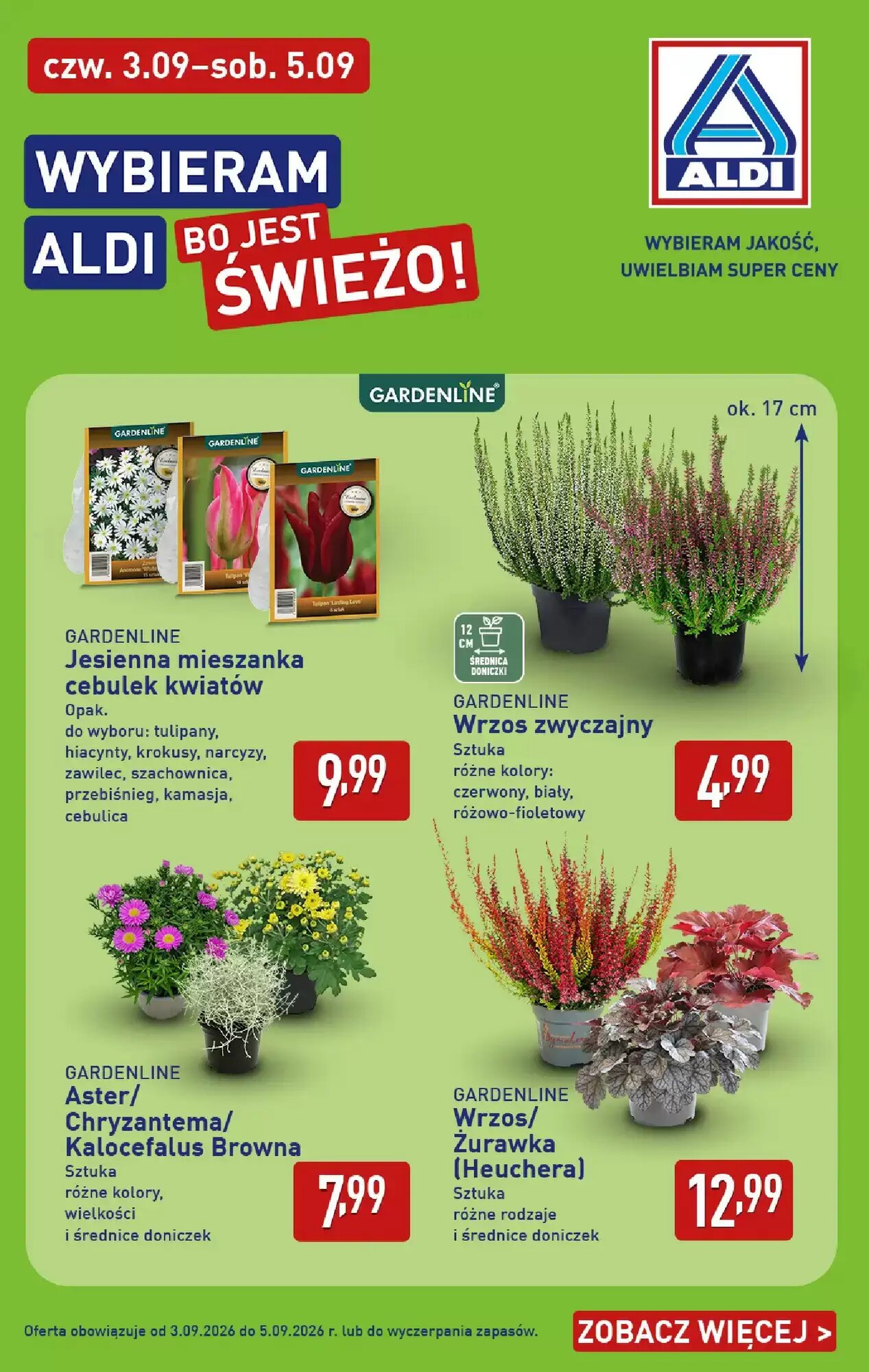 Gazetka promocyjna ALDI  ważna od 31.08.2026 - Strona 38.