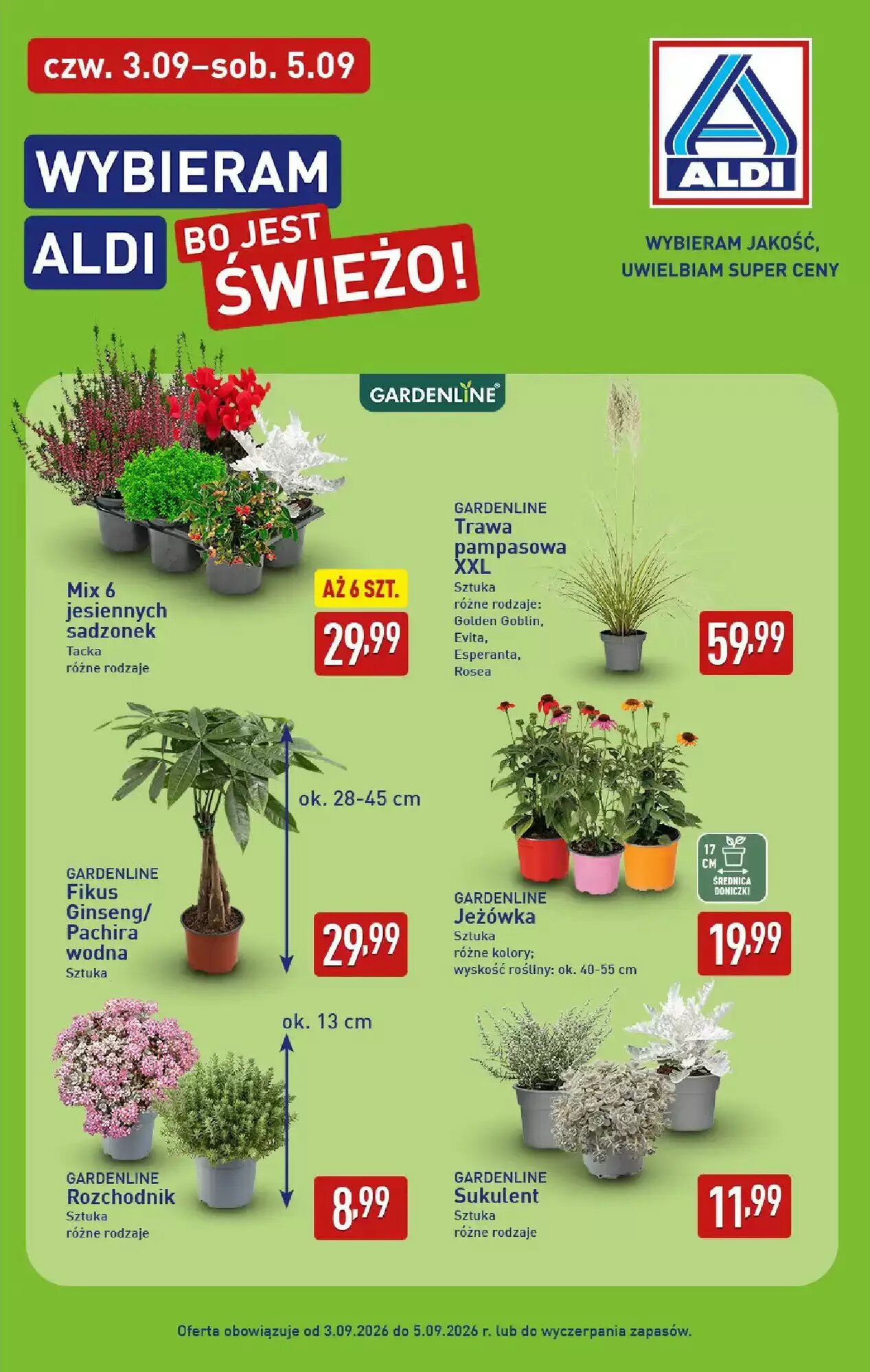 Gazetka promocyjna ALDI  ważna od 31.08.2026 - Strona 39.