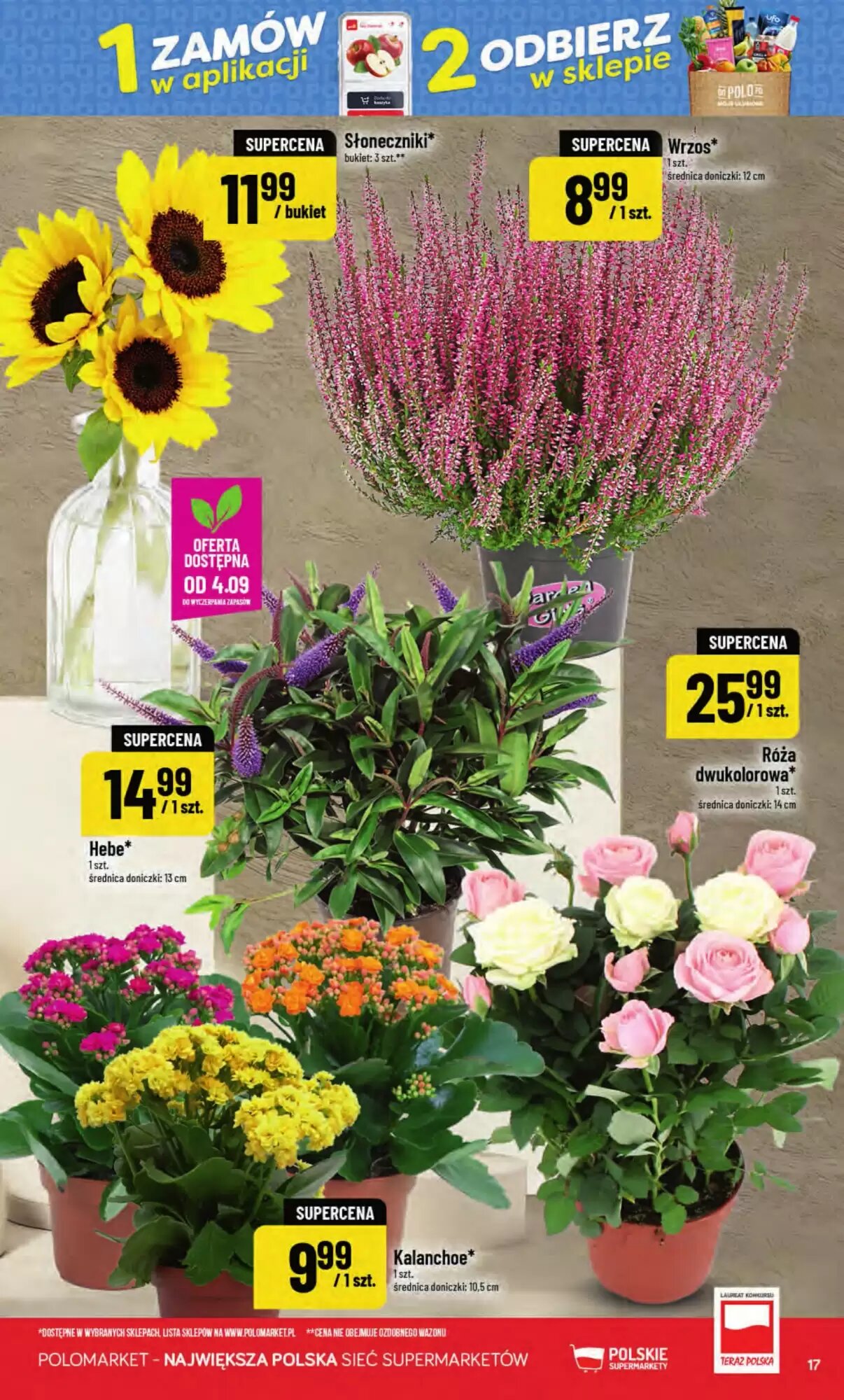 Gazetka promocyjna Polomarket  ważna od 02.09.2026 - Strona 17.
