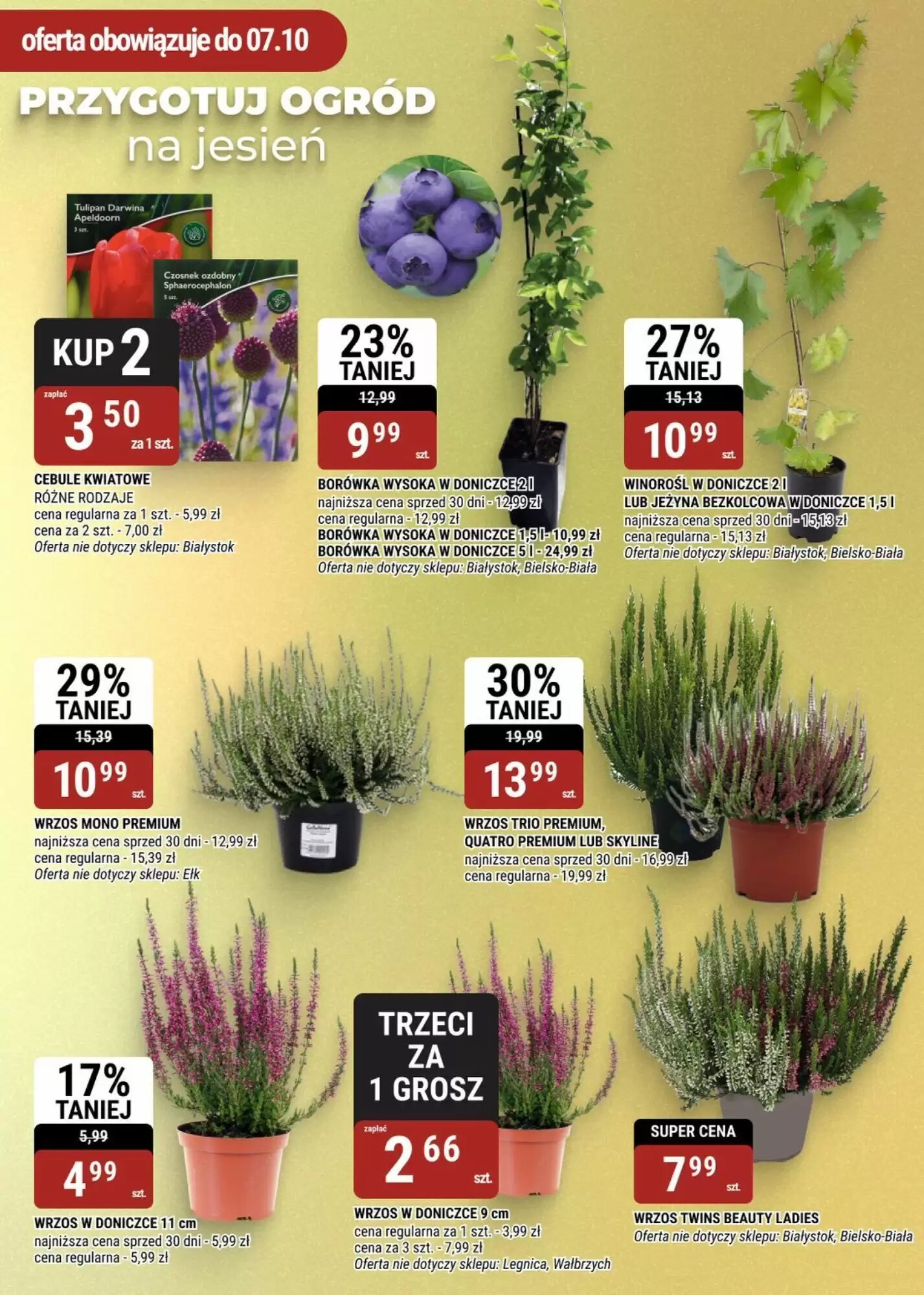Gazetka promocyjna bi1  ważna od 09.09.2026 - Strona 18.